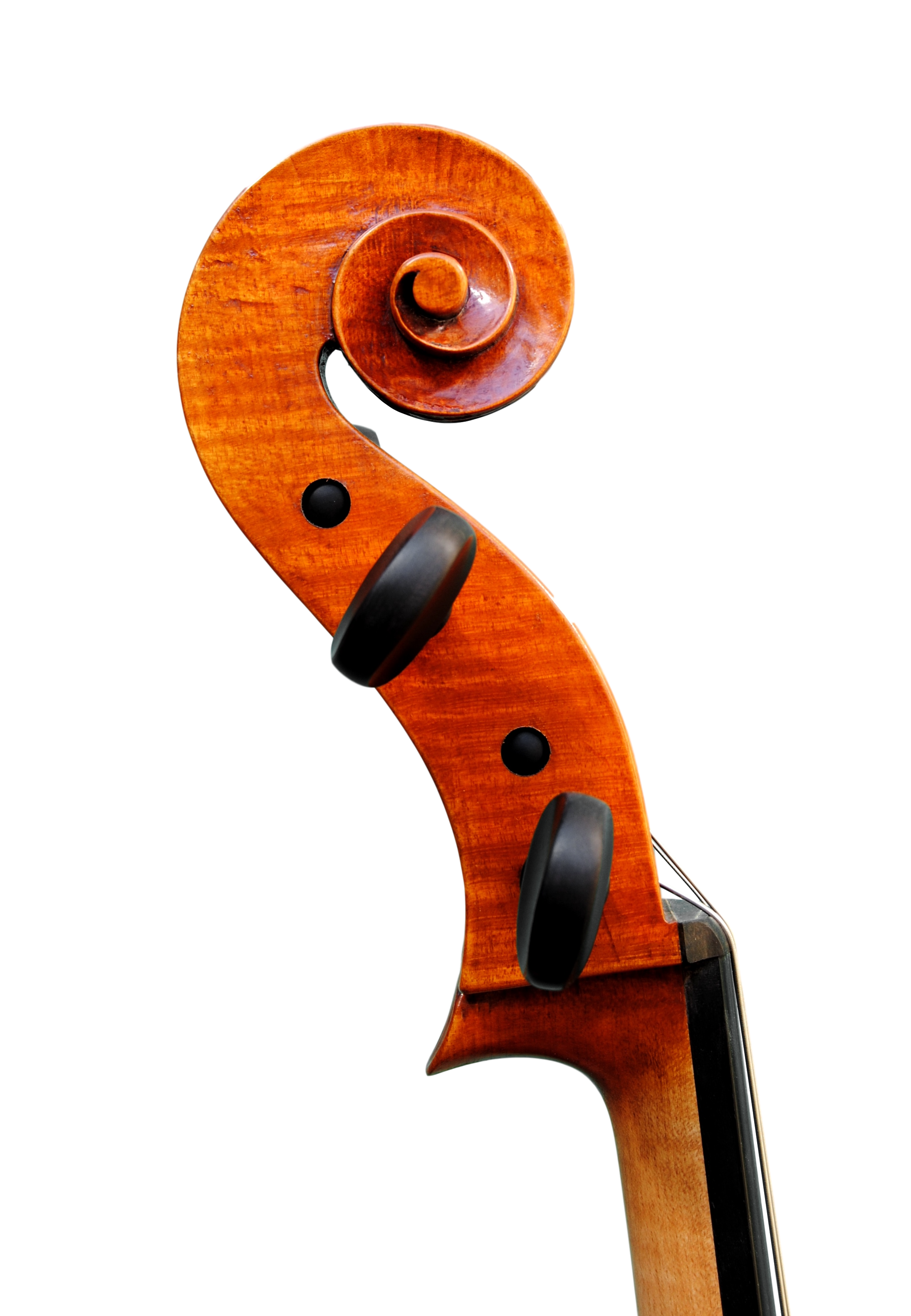 Cello  7/8  - Edgar Russ, Francesco Ruggeri, Cremona 2020