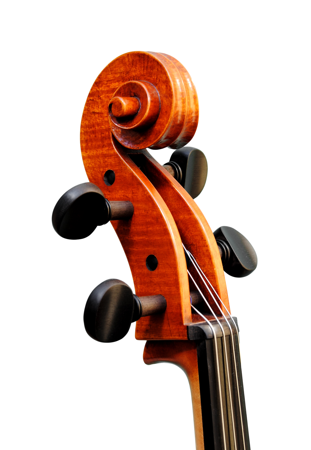 Cello  7/8  - Edgar Russ, Francesco Ruggeri, Cremona 2020