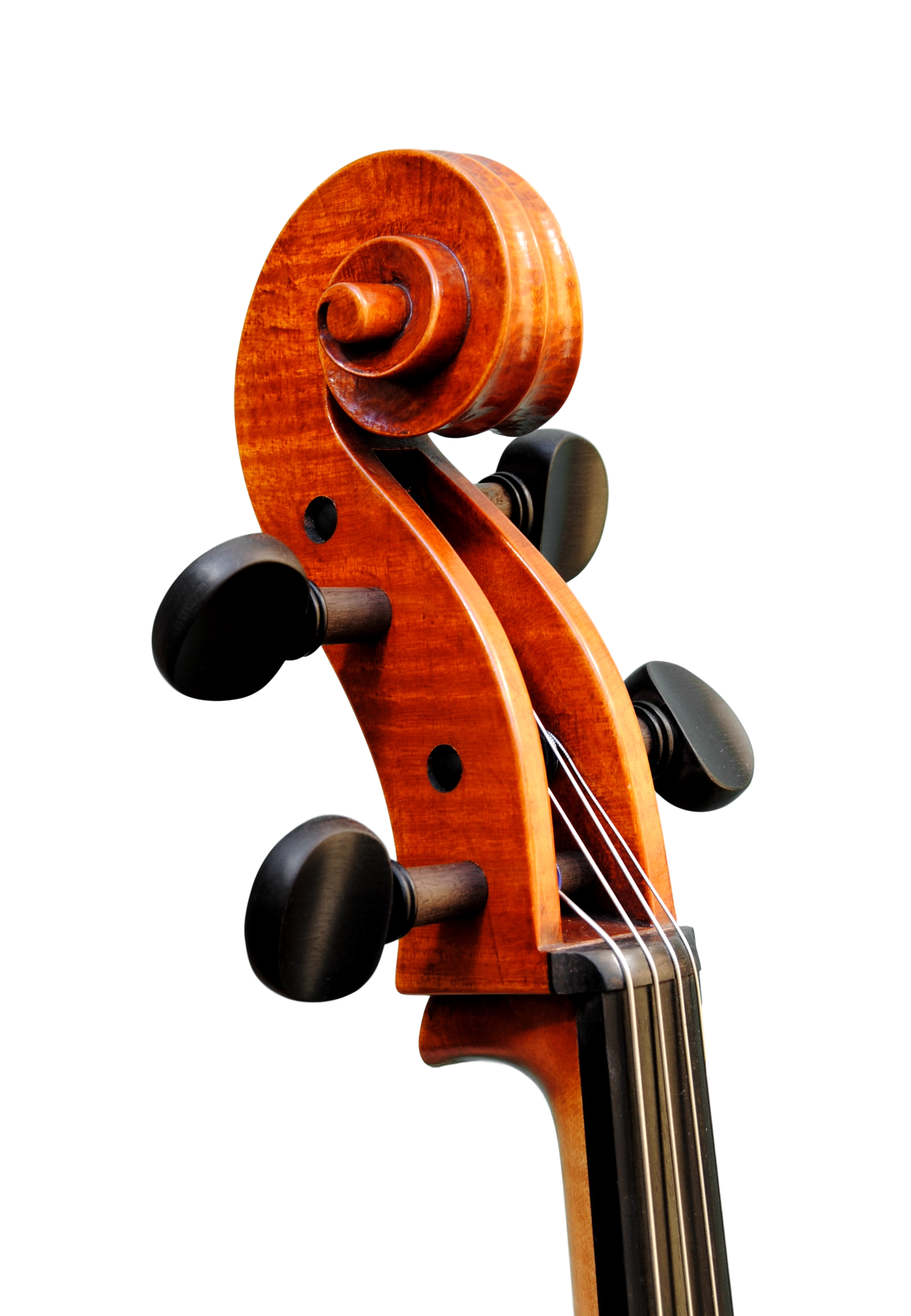 Cello  7/8  - Edgar Russ, Francesco Ruggeri, Cremona 2020