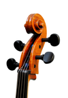 Cello  7/8  - Edgar Russ, Francesco Ruggeri, Cremona 2020