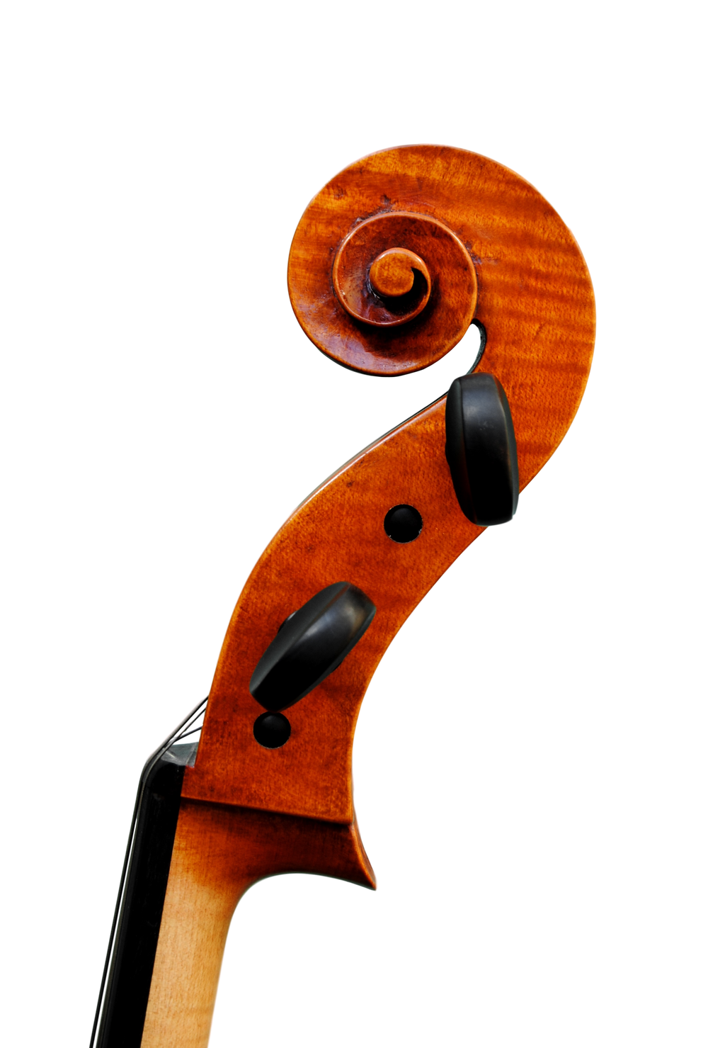Cello  7/8  - Edgar Russ, Francesco Ruggeri, Cremona 2020
