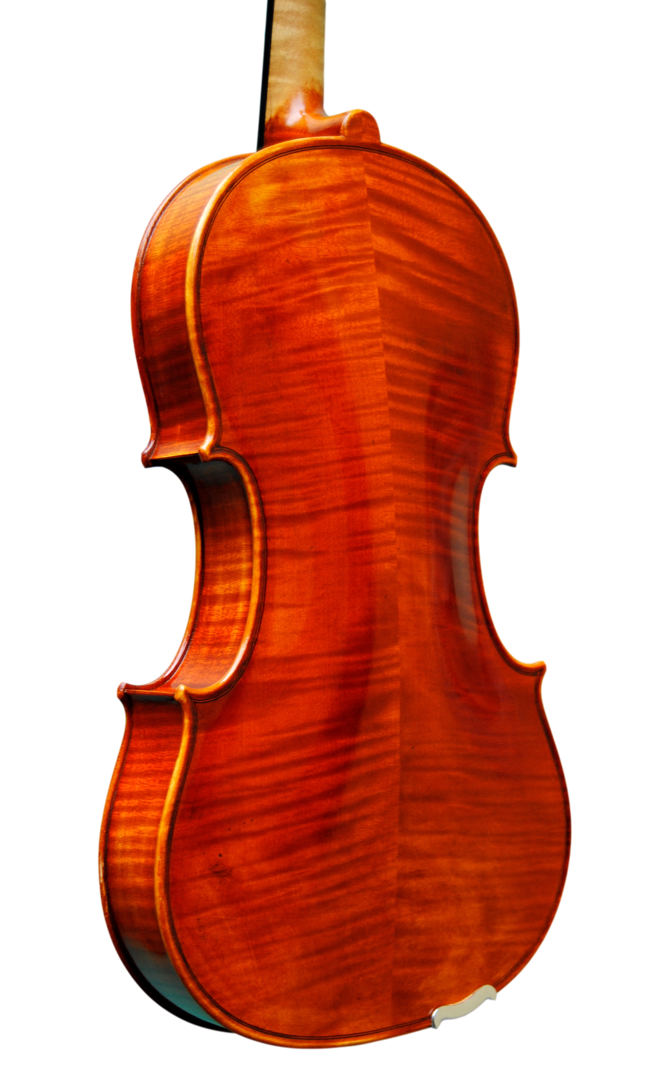 Viola - Scala Perfetta