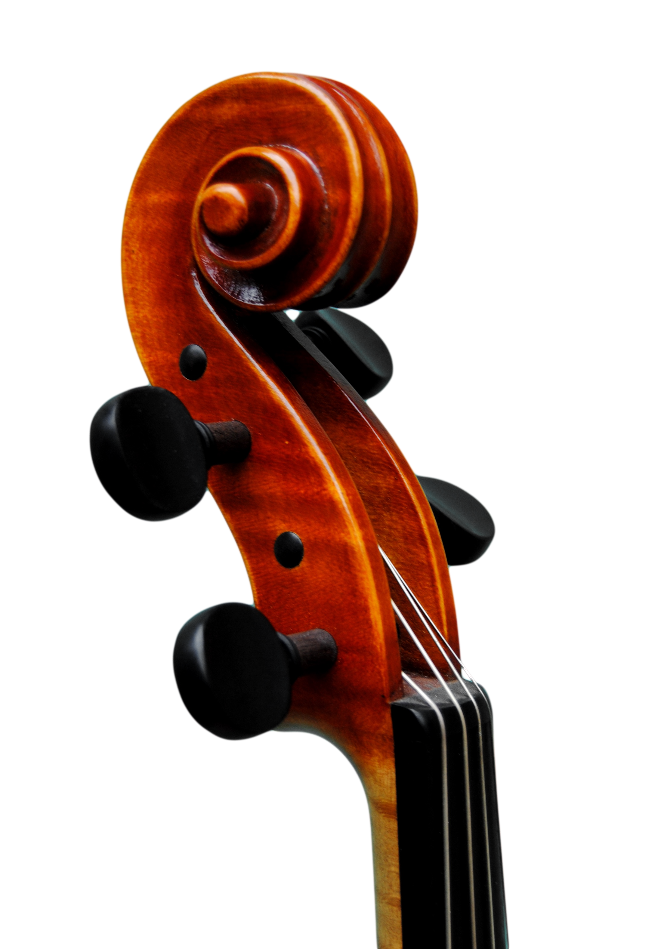 Viola - Scala Perfetta