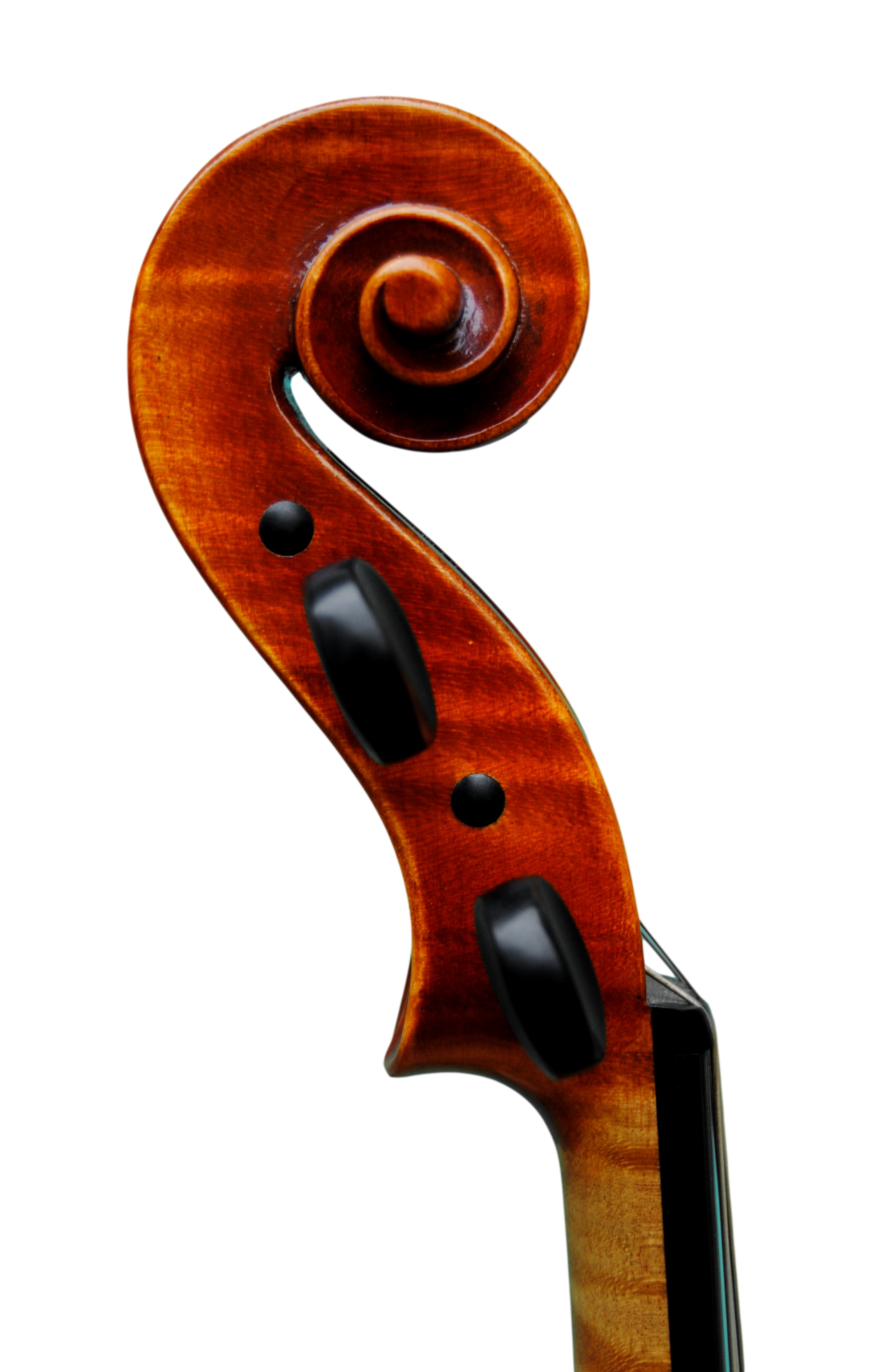 Viola - Scala Perfetta