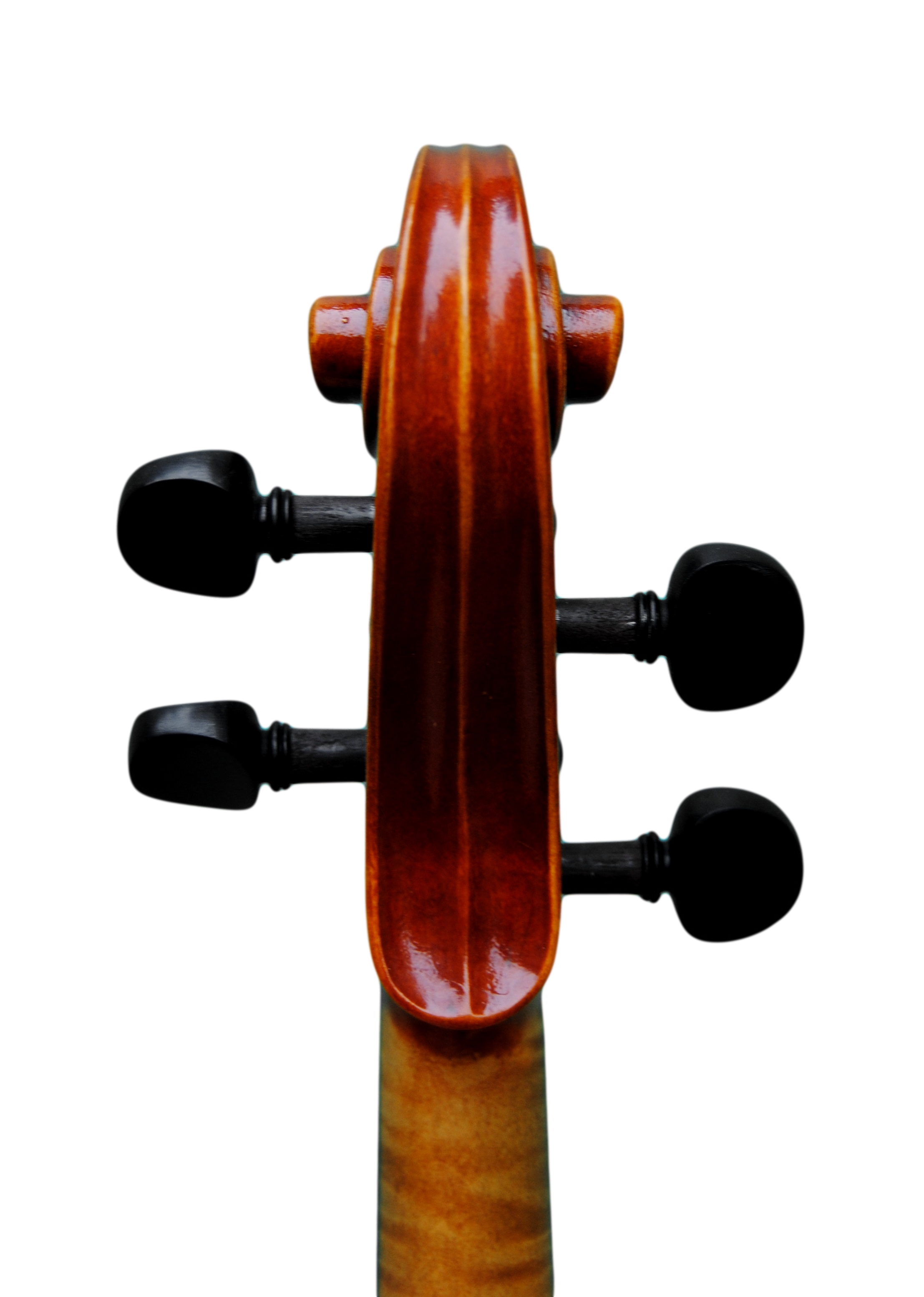 Viola - Scala Perfetta