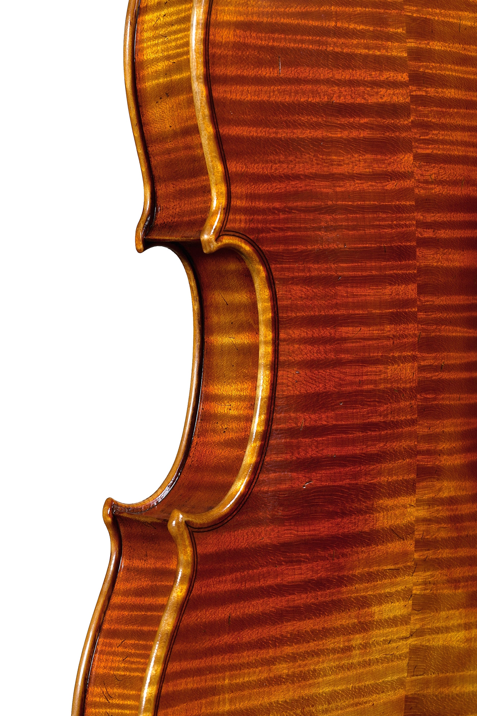 Violin - Linea Macchi, Stradivari