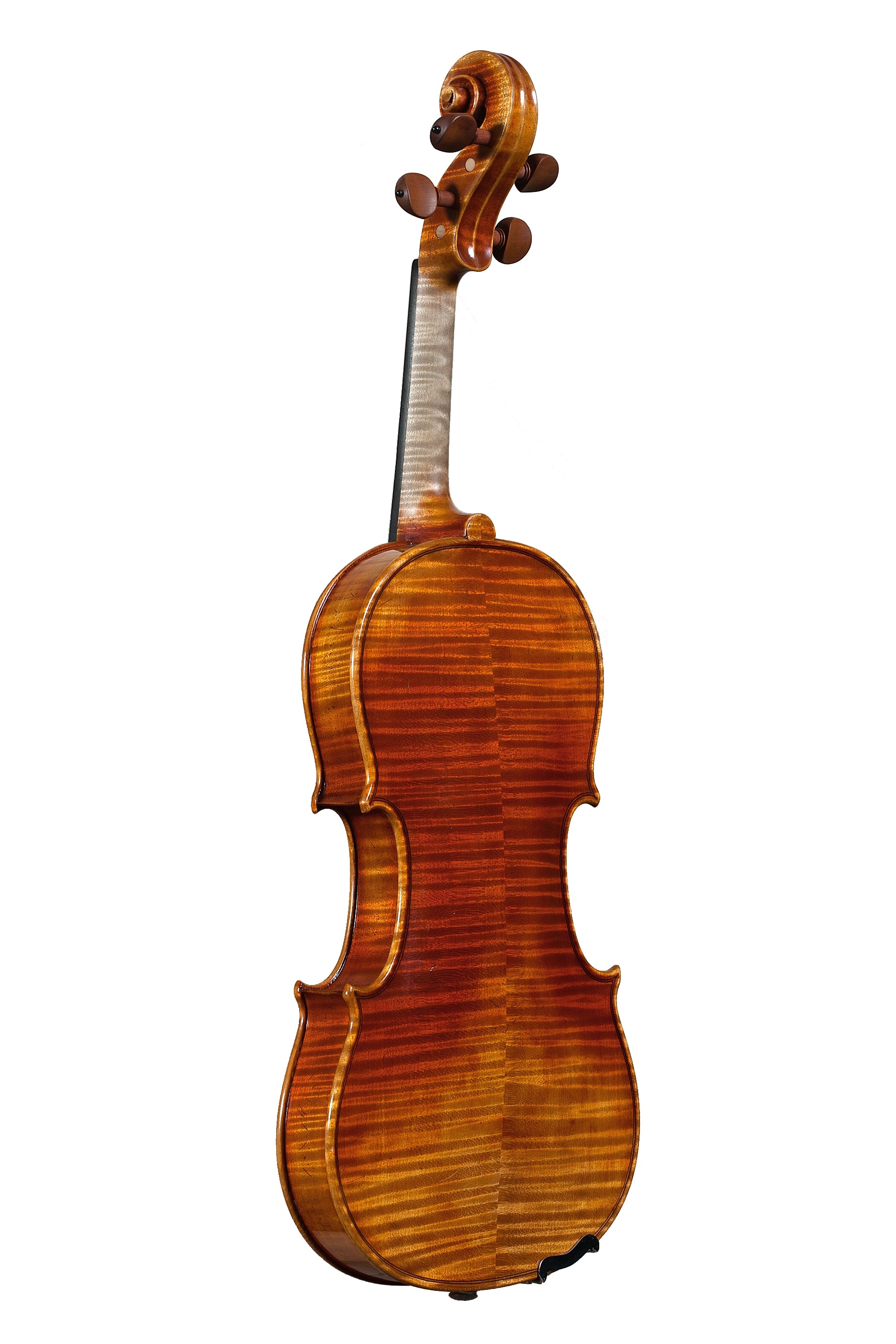 Violin - Linea Macchi, Stradivari