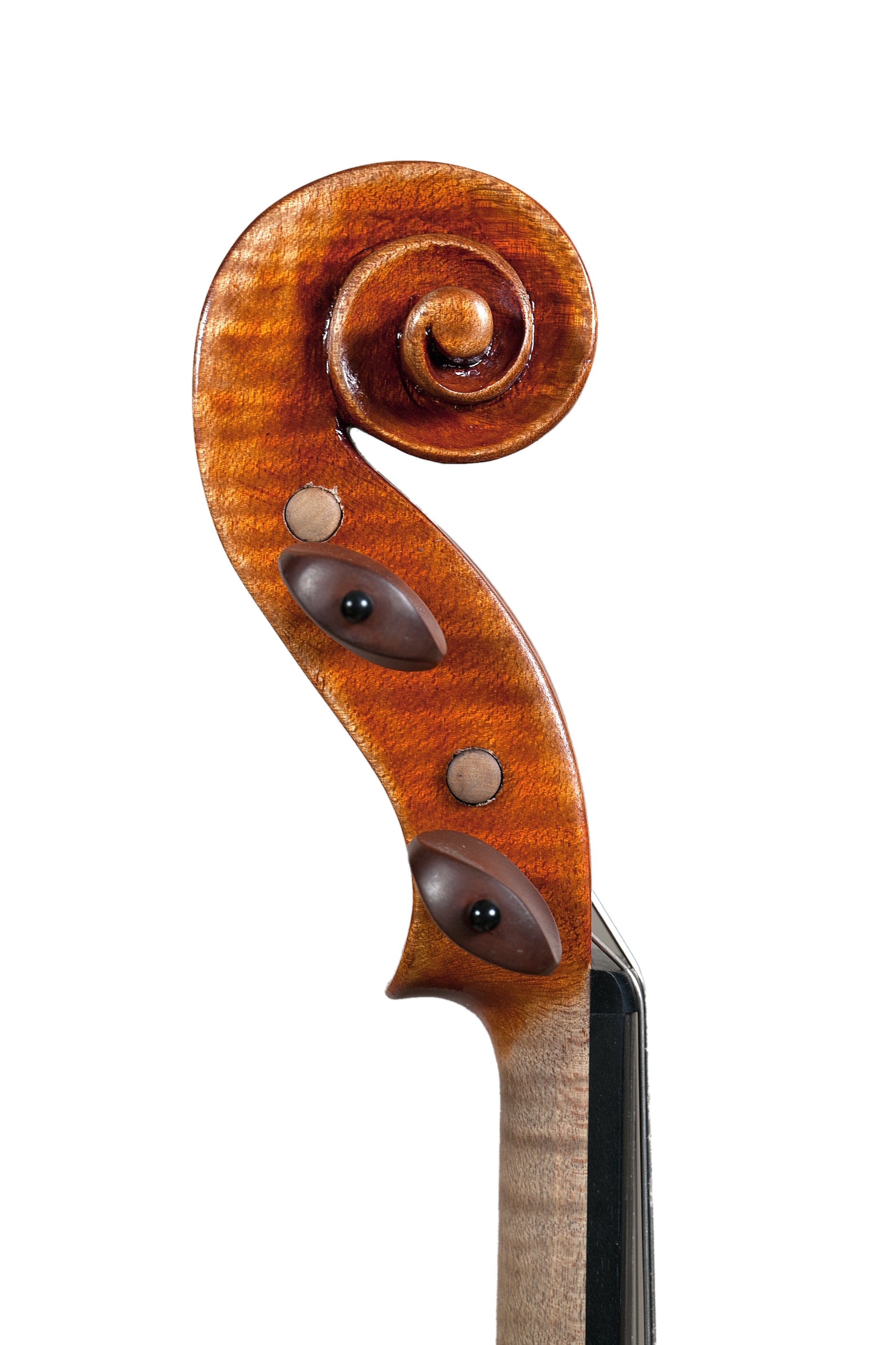 Violin - Linea Macchi, Guarneri "Ole Bull"