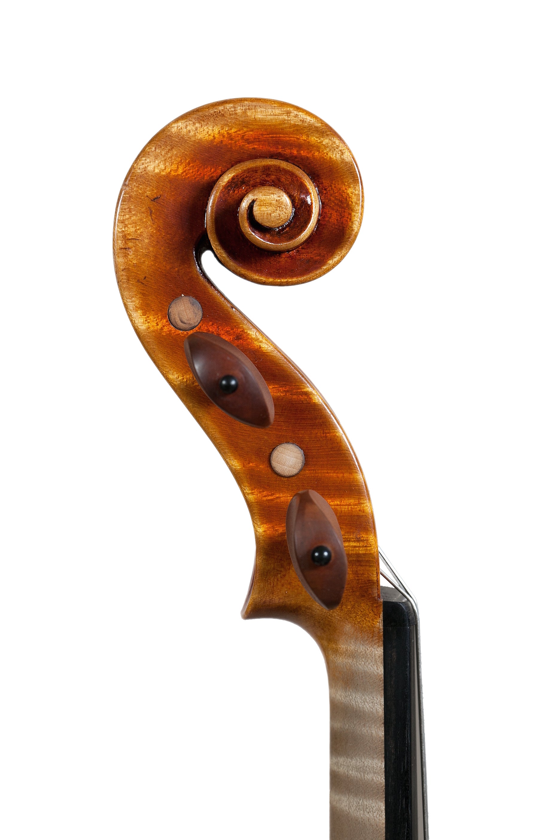Violin - Linea Macchi, Stradivari