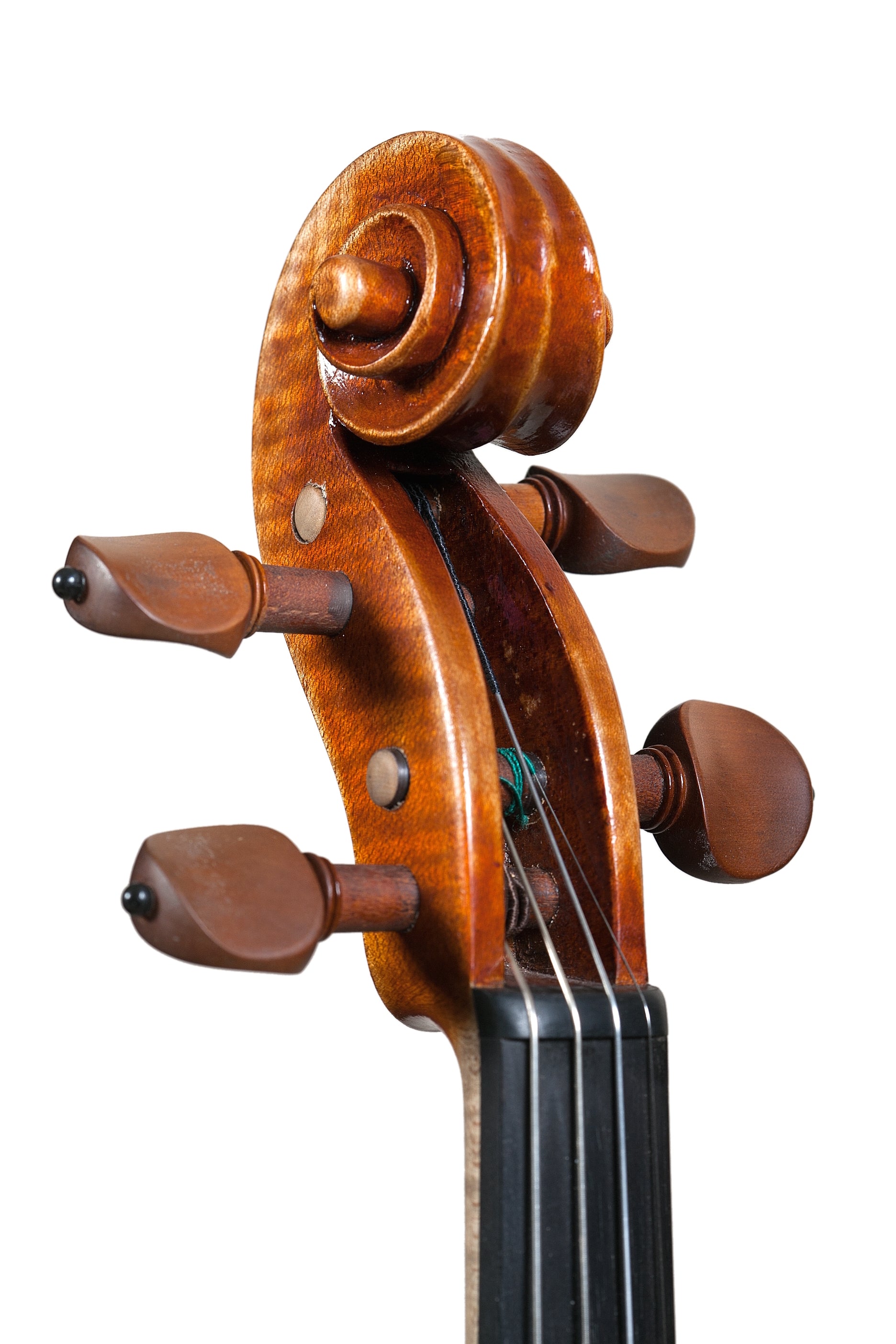 Violin - Linea Macchi, Guarneri "Ole Bull"