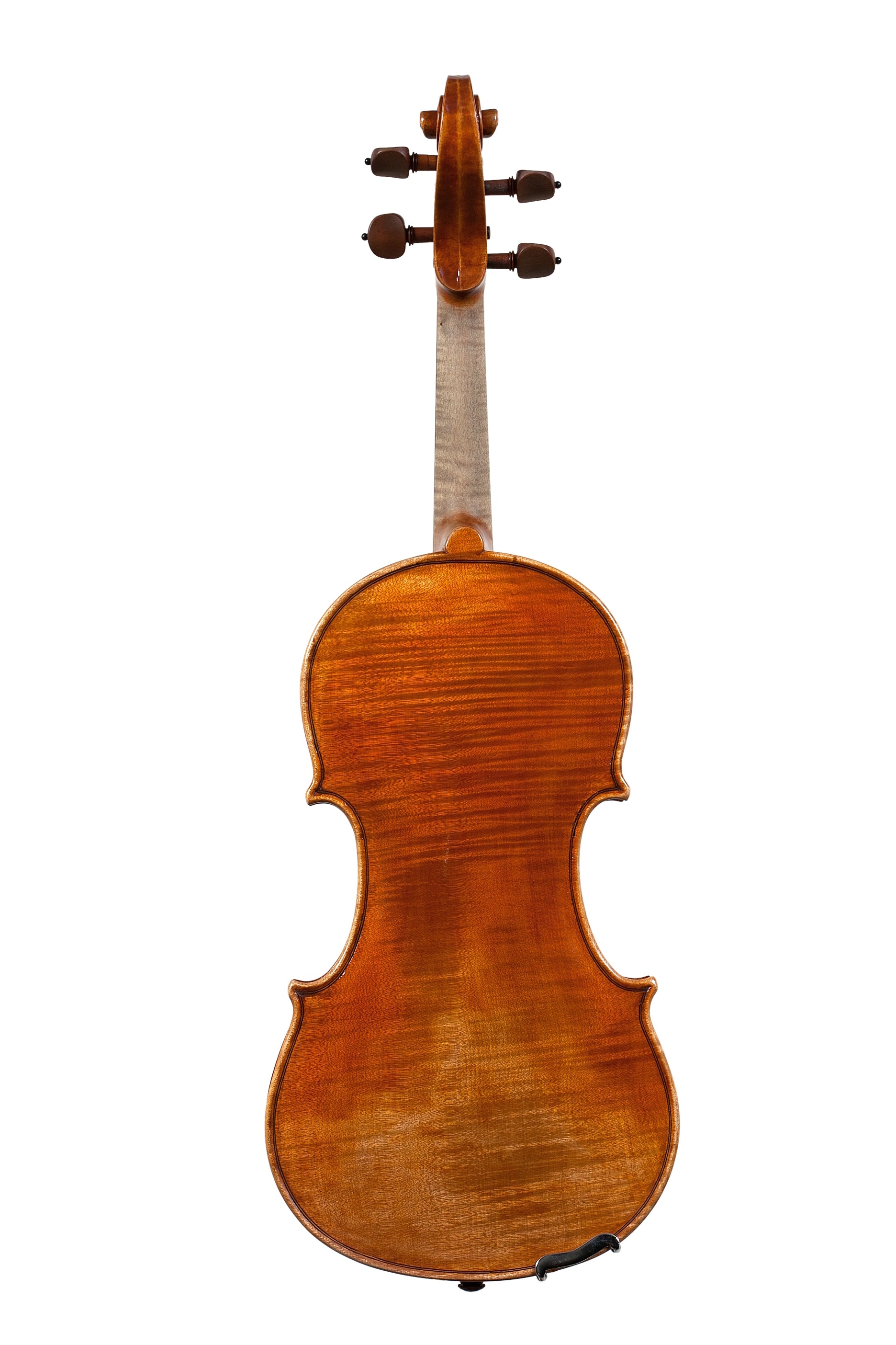 Violin - Linea Macchi, Guarneri "Ole Bull"