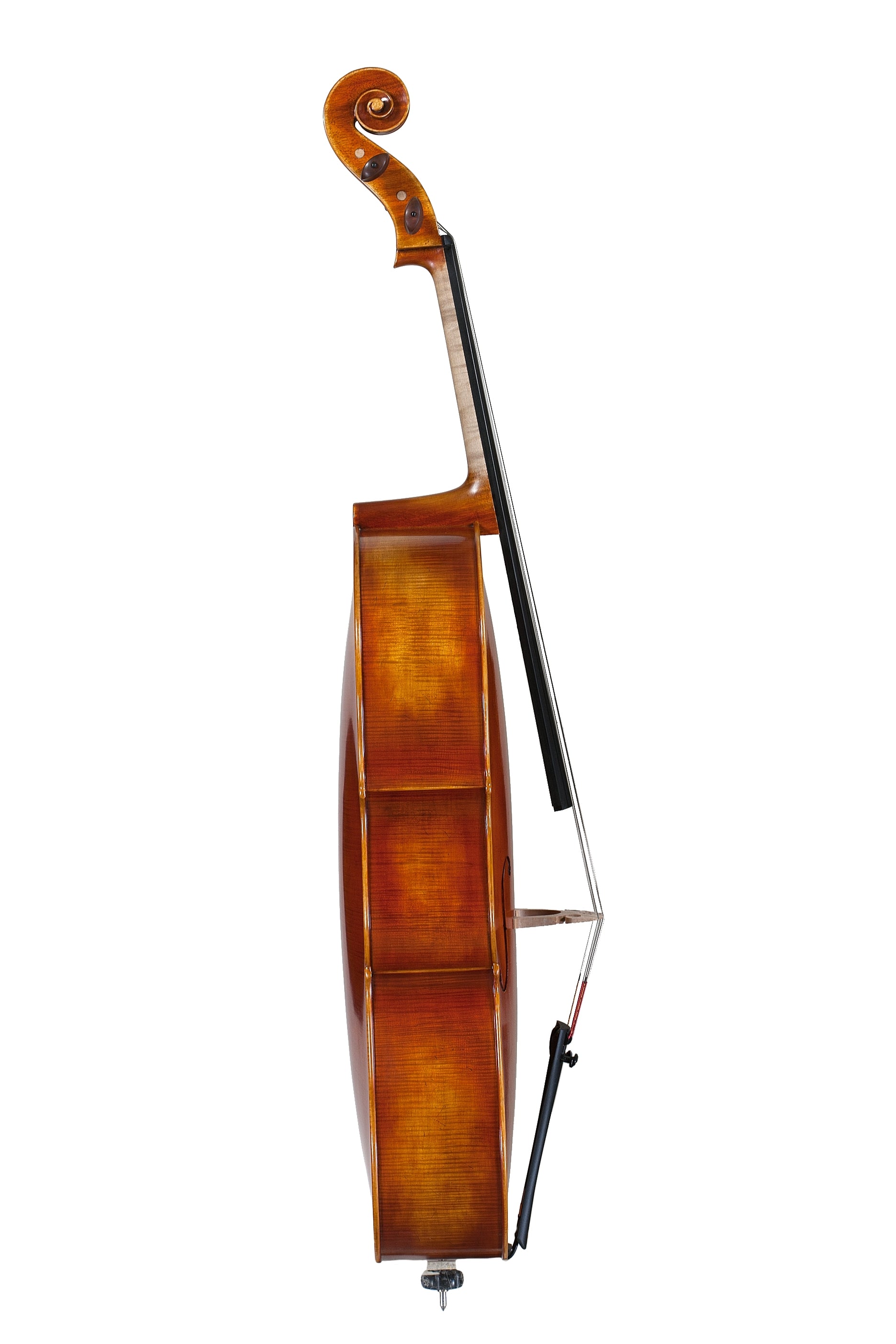 Cello - Linea Macchi, Stradivari
