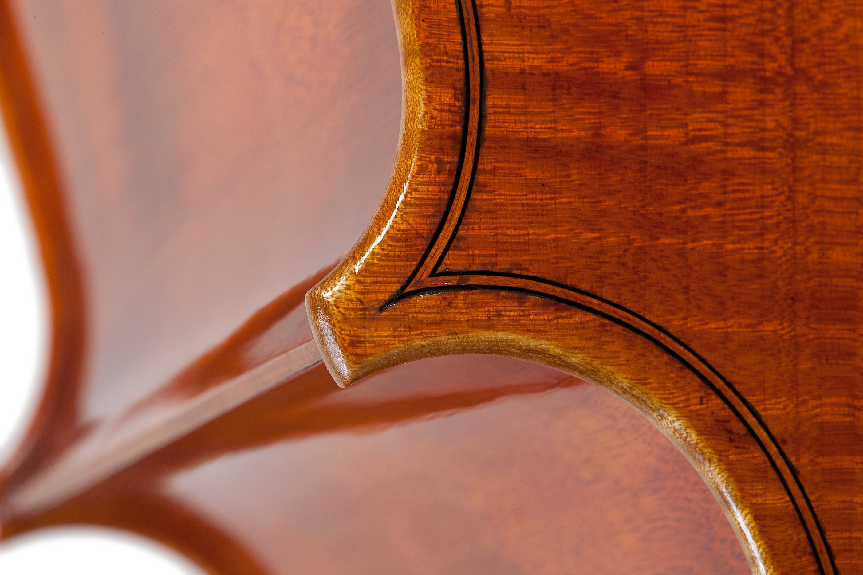 Doublebass - Linea Macchi