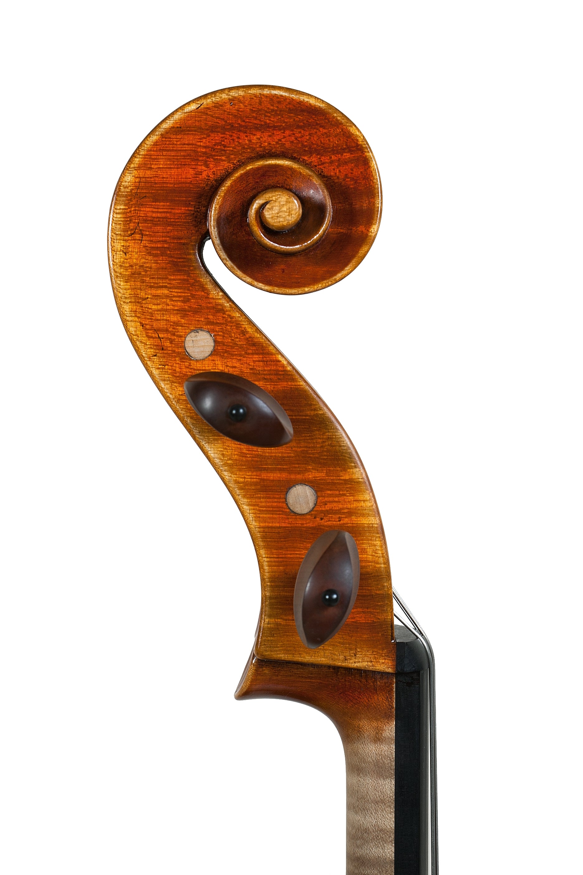 Cello - Linea Macchi, Stradivari
