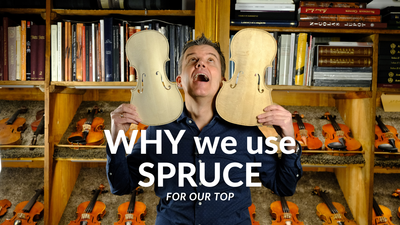 Why do we use spruce for the top of our violins?