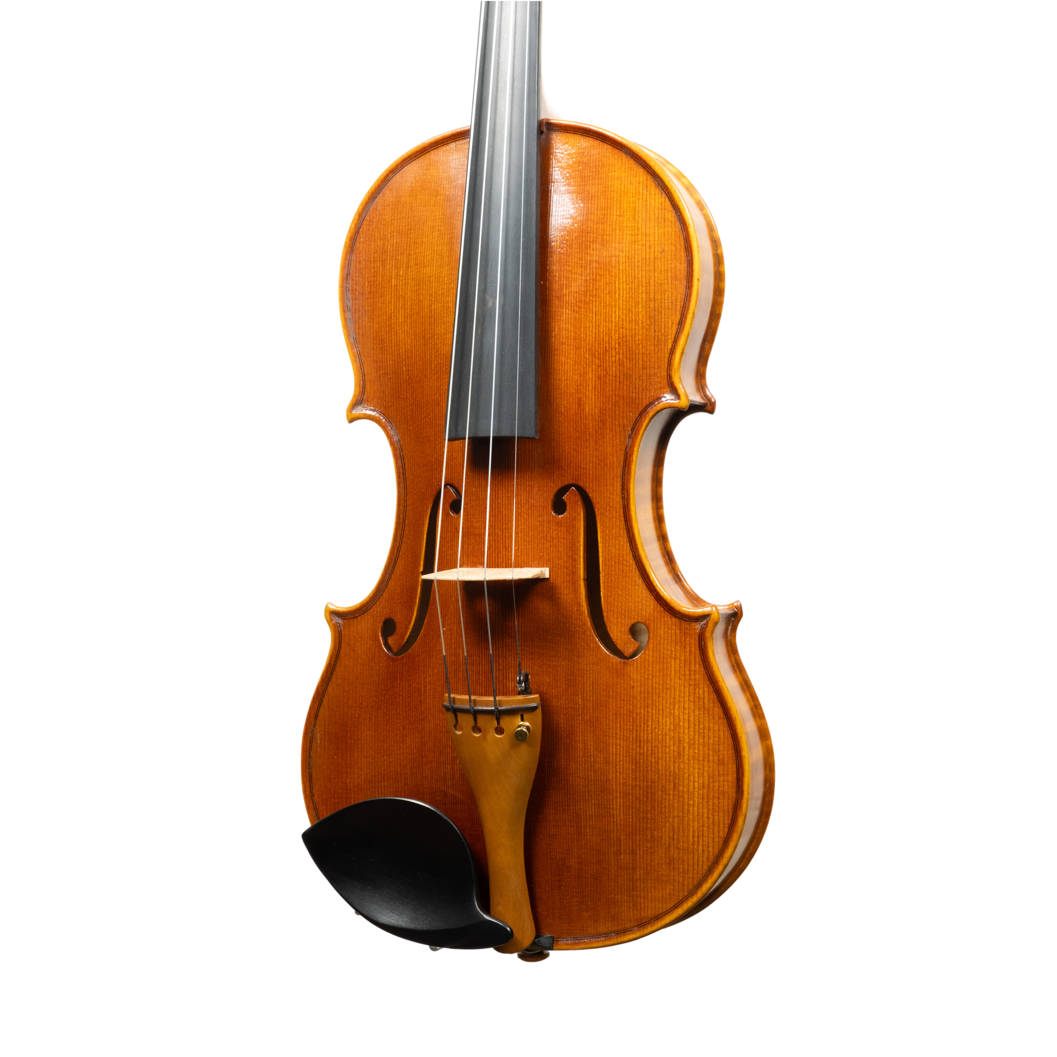Violin - Linea Macchi, Guarneri "Cannone" 2026 Adige