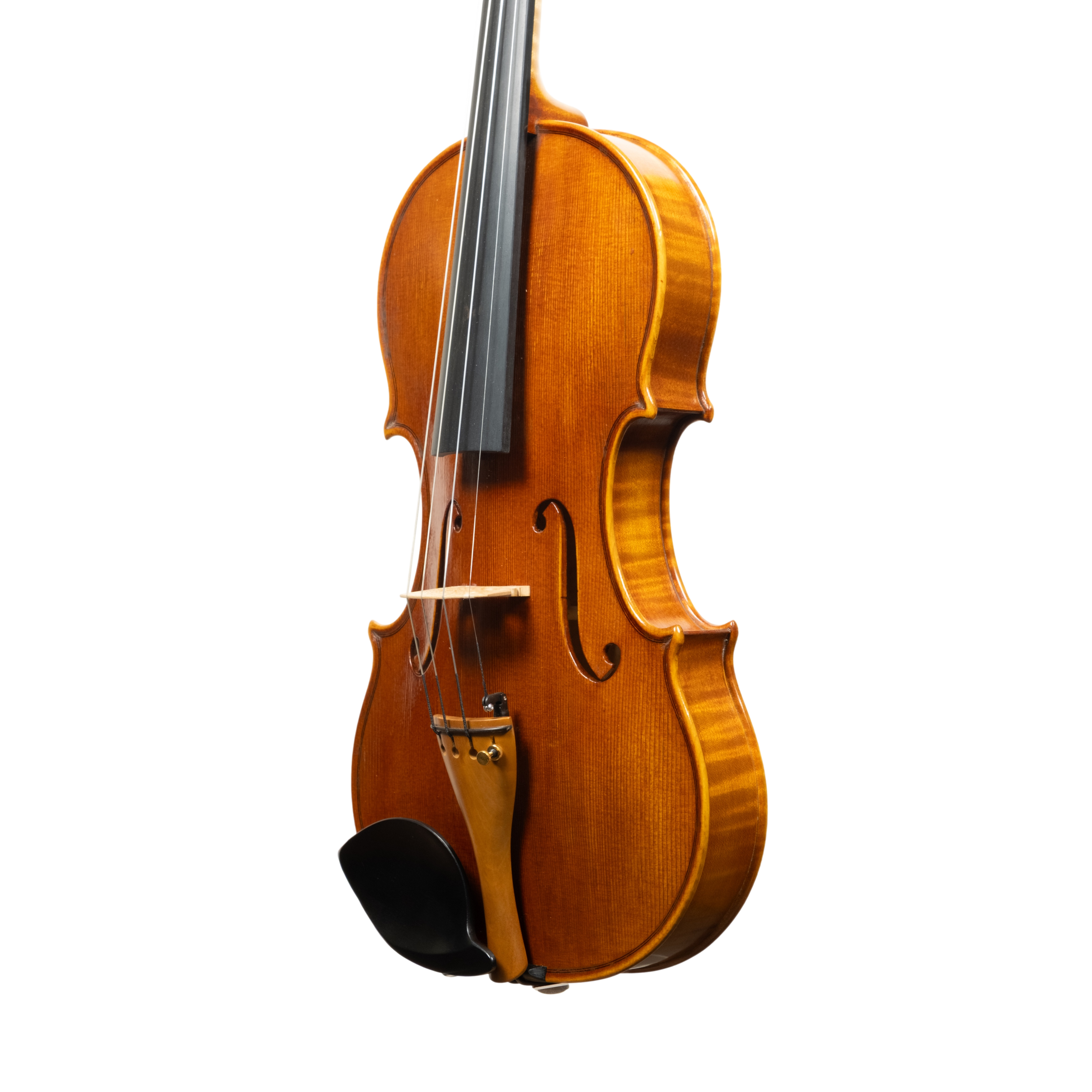Violin - Linea Macchi, Guarneri "Cannone" 2026 Adige