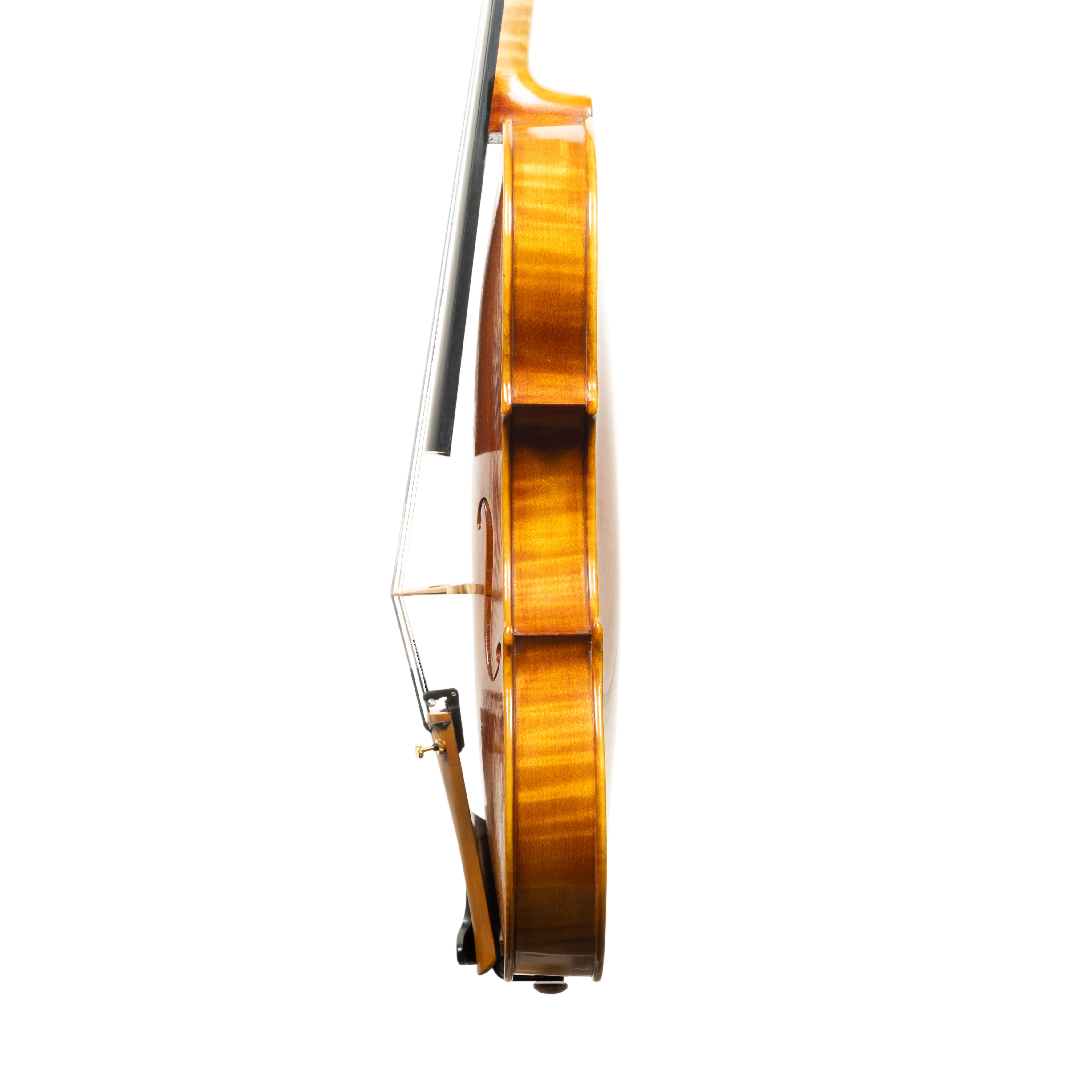 Violin - Linea Macchi, Guarneri "Cannone" 2026 Adige