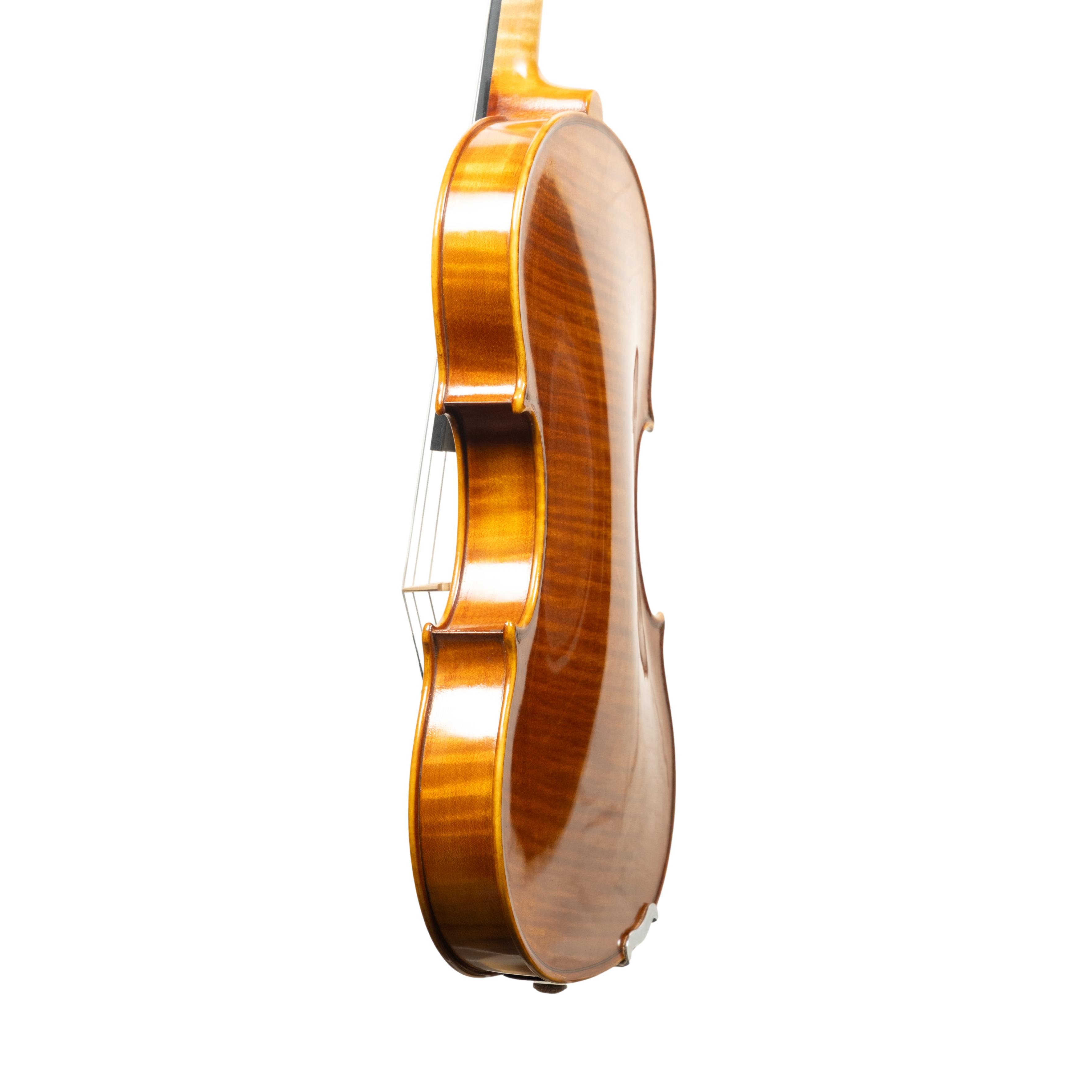 Violin - Linea Macchi, Guarneri "Cannone" 2026 Adige