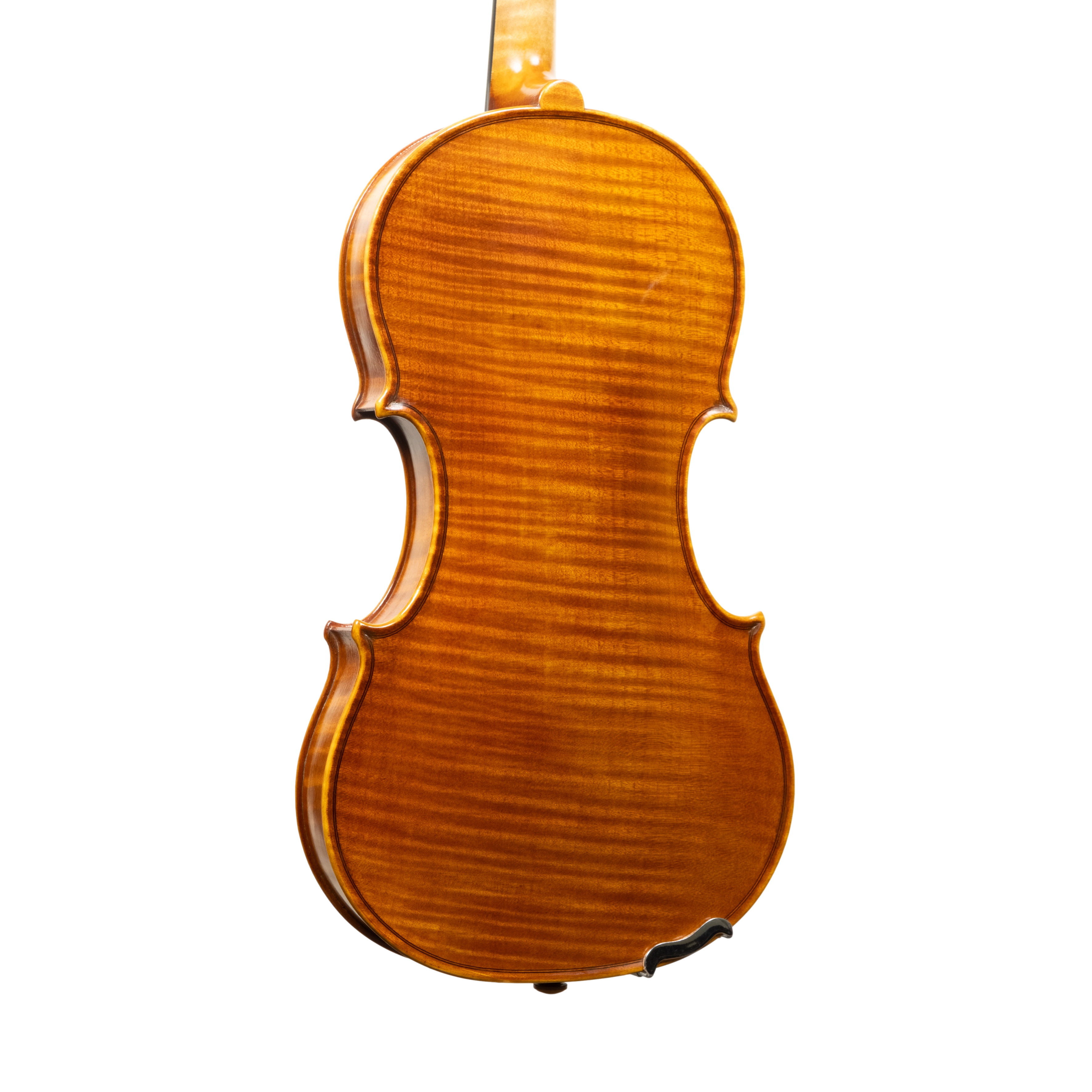 Violin - Linea Macchi, Guarneri "Cannone" 2026 Adige