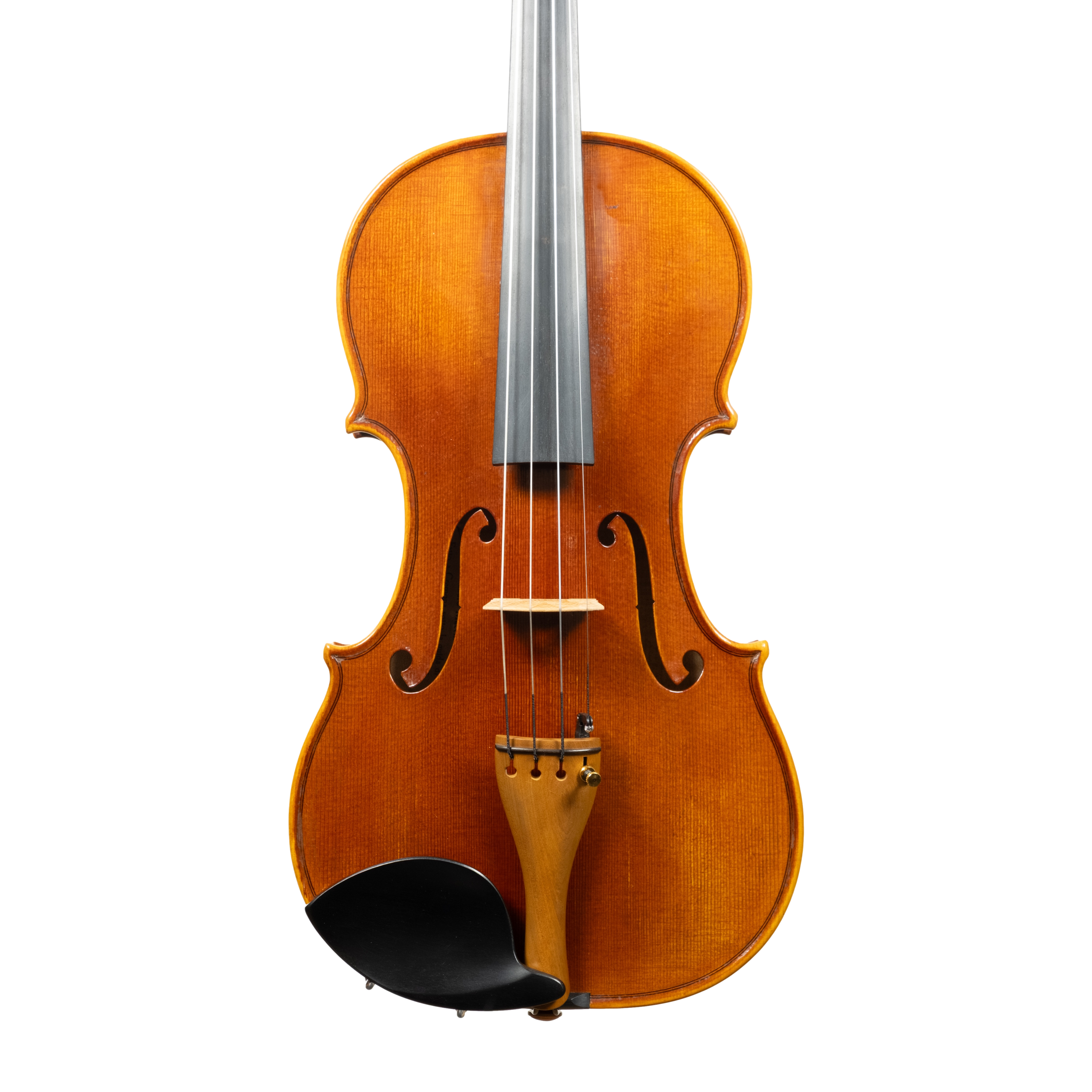 Violin - Linea Macchi, Guarneri "Lord Wilton" 2026 Avisio