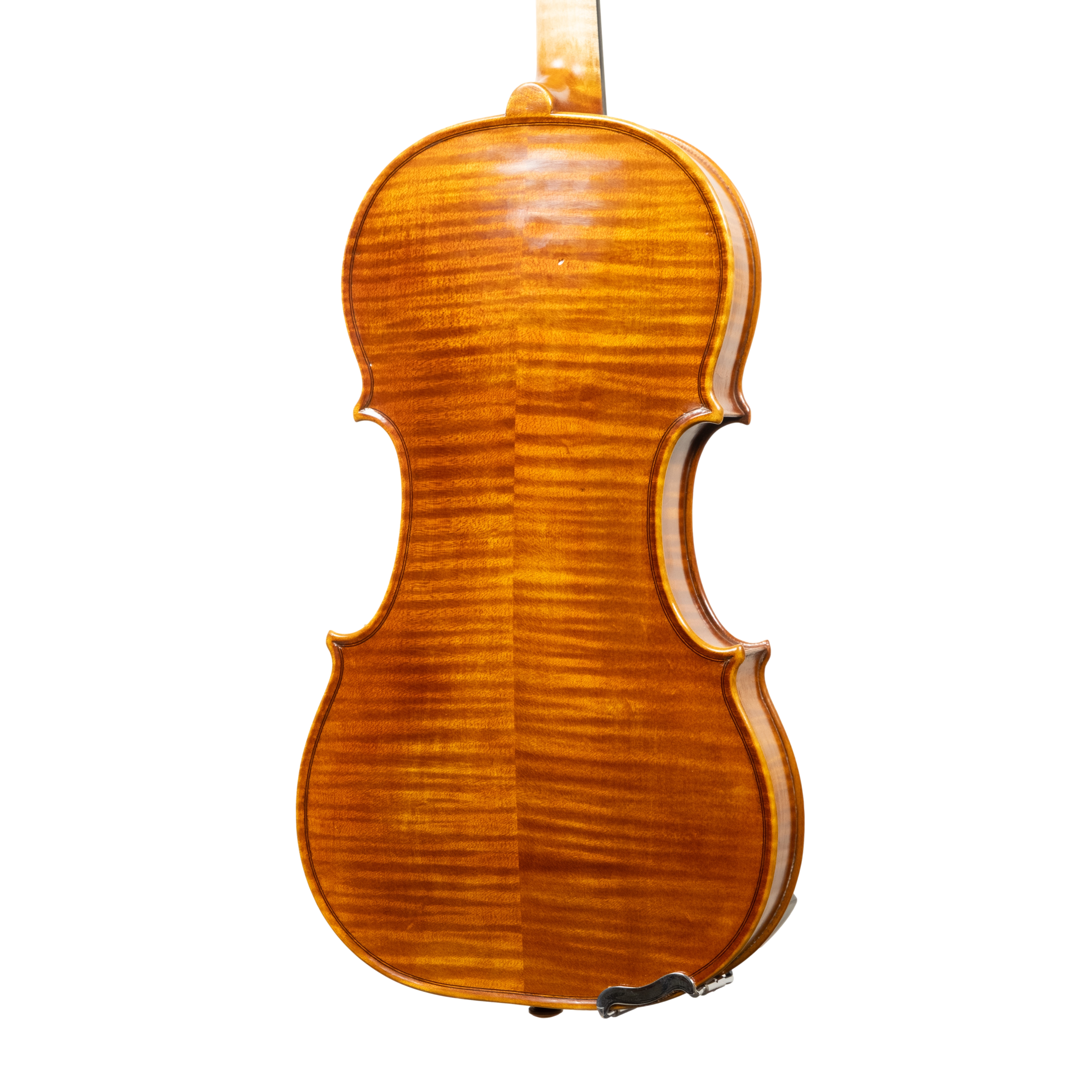 Violin - Linea Macchi, Guarneri "Lord Wilton" 2026 Avisio