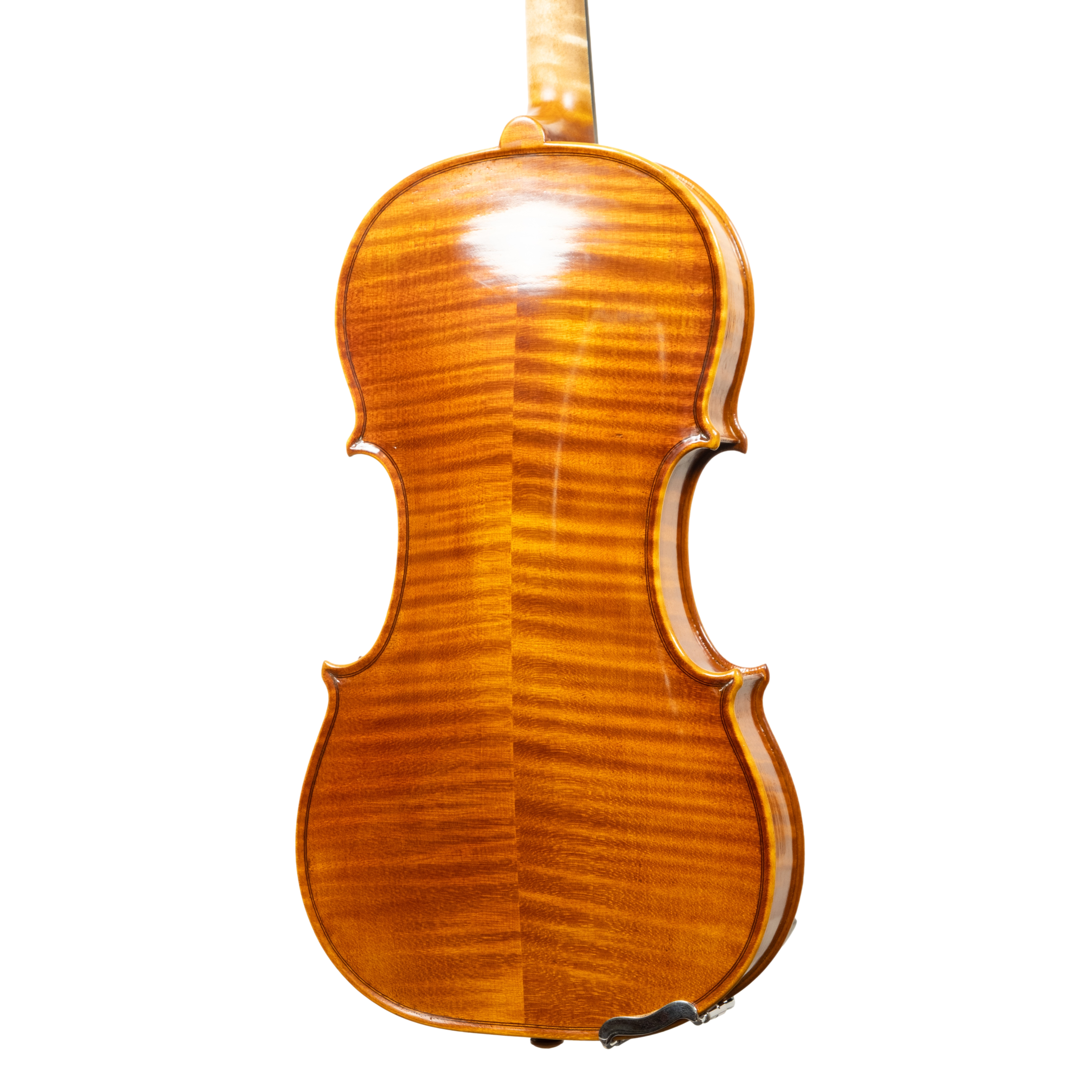 Violin - Linea Macchi, Guarneri "Lord Wilton" 2026 Fersina