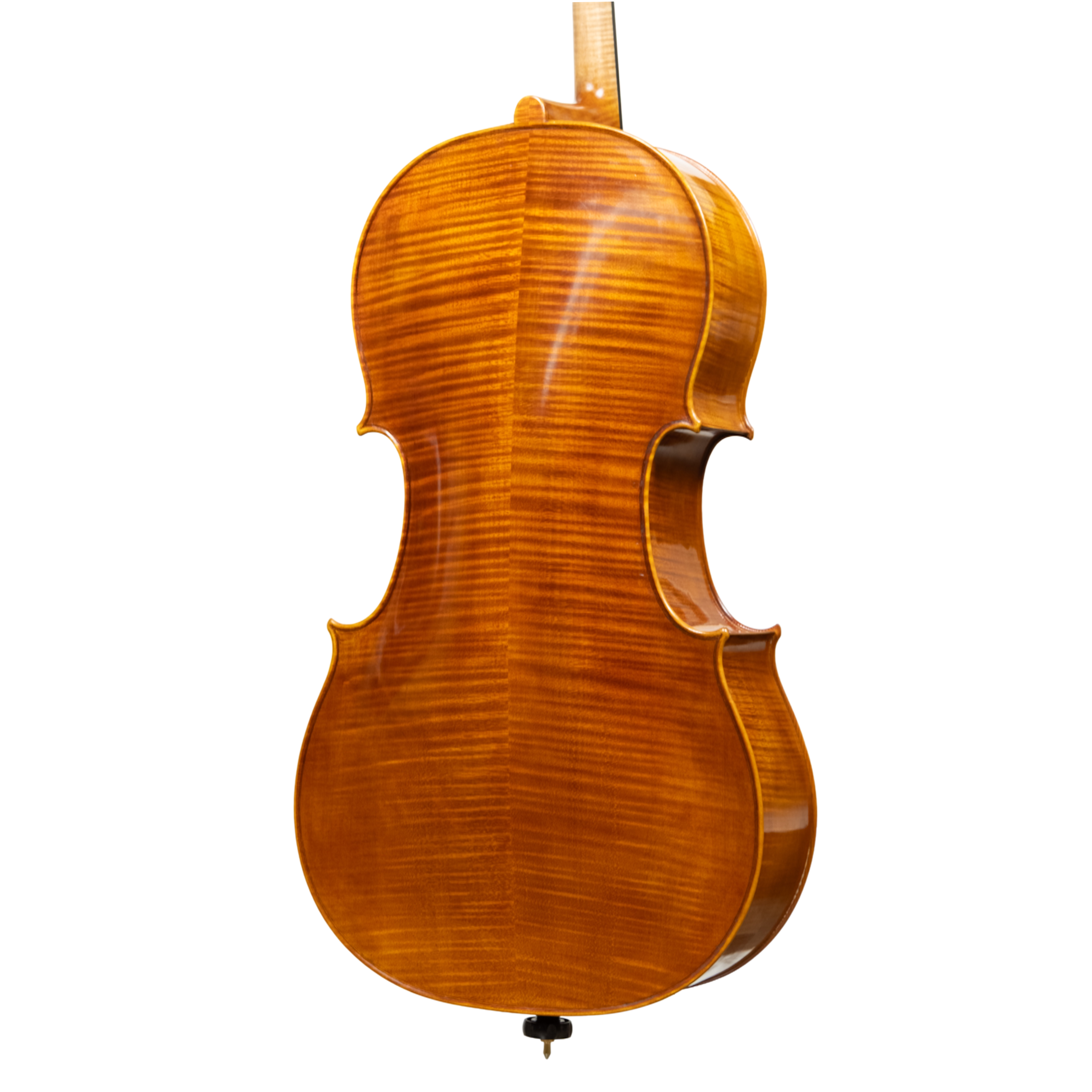 Cello - Linea Macchi, Stradivari "Gore Booth", Cremona 2026