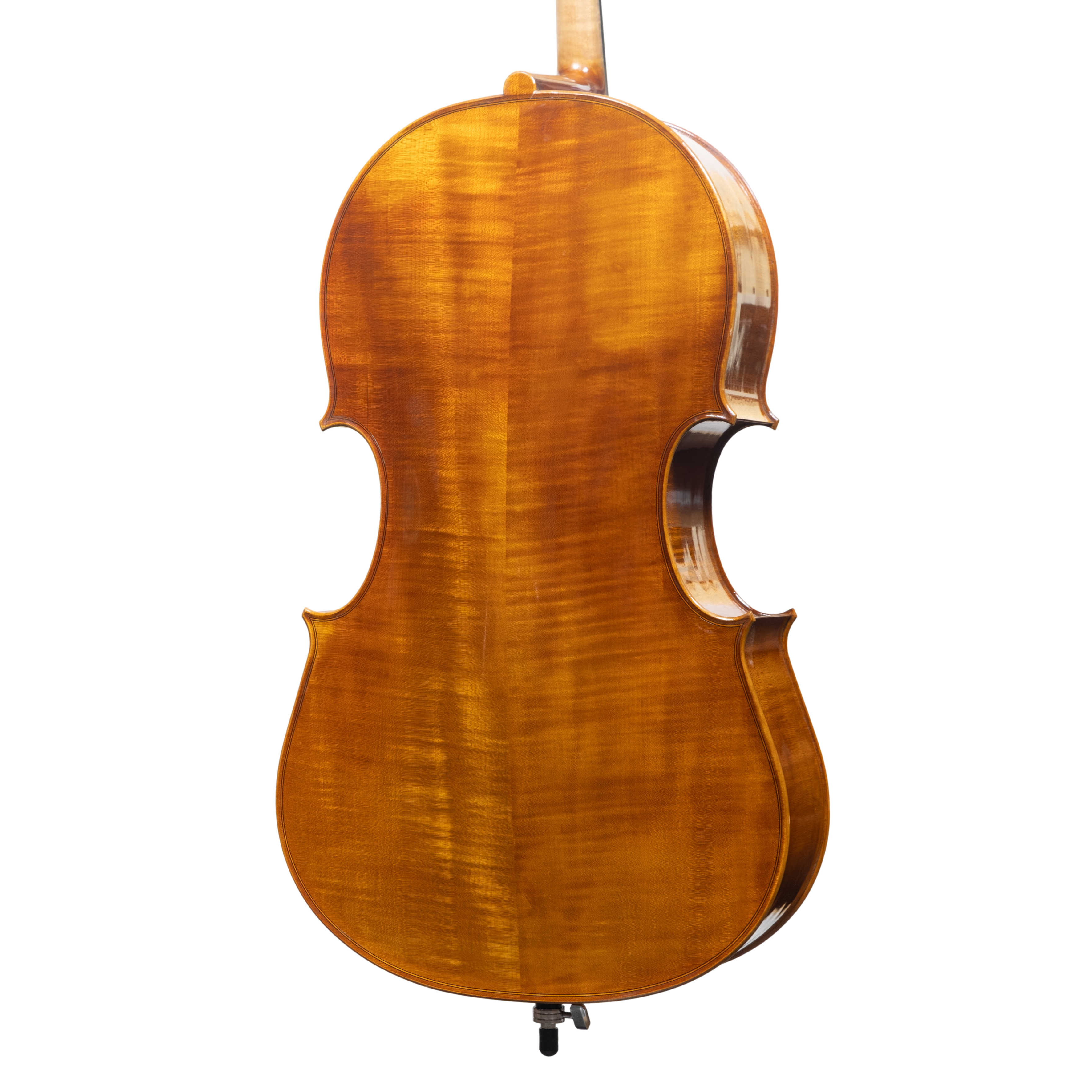 Cello - Scala Perfetta, Montagnana, Cremona 2025 "CERVATI"