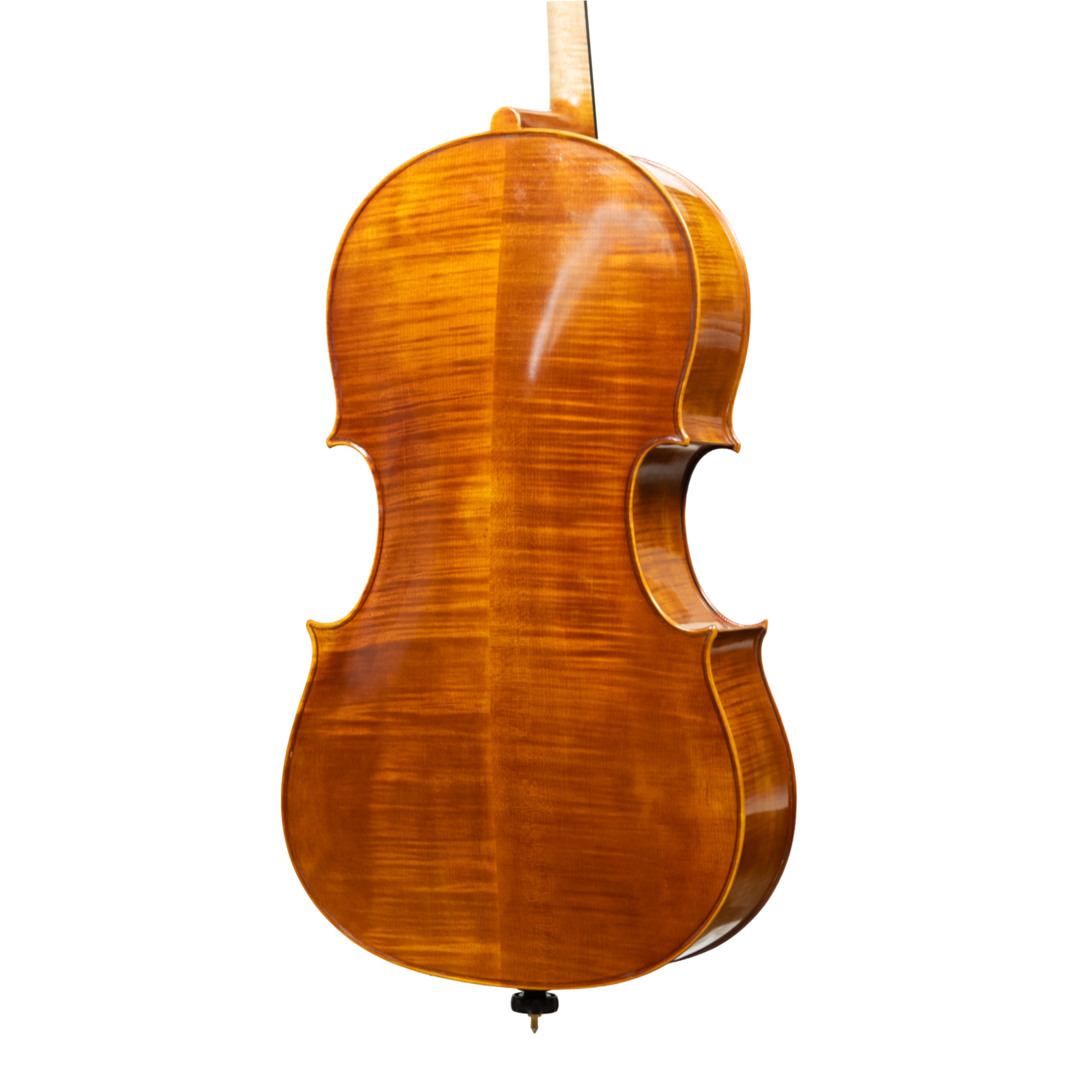 Cello - Linea Macchi, Domenico Montagnana "Sleeping Beauty", Cremona 2026