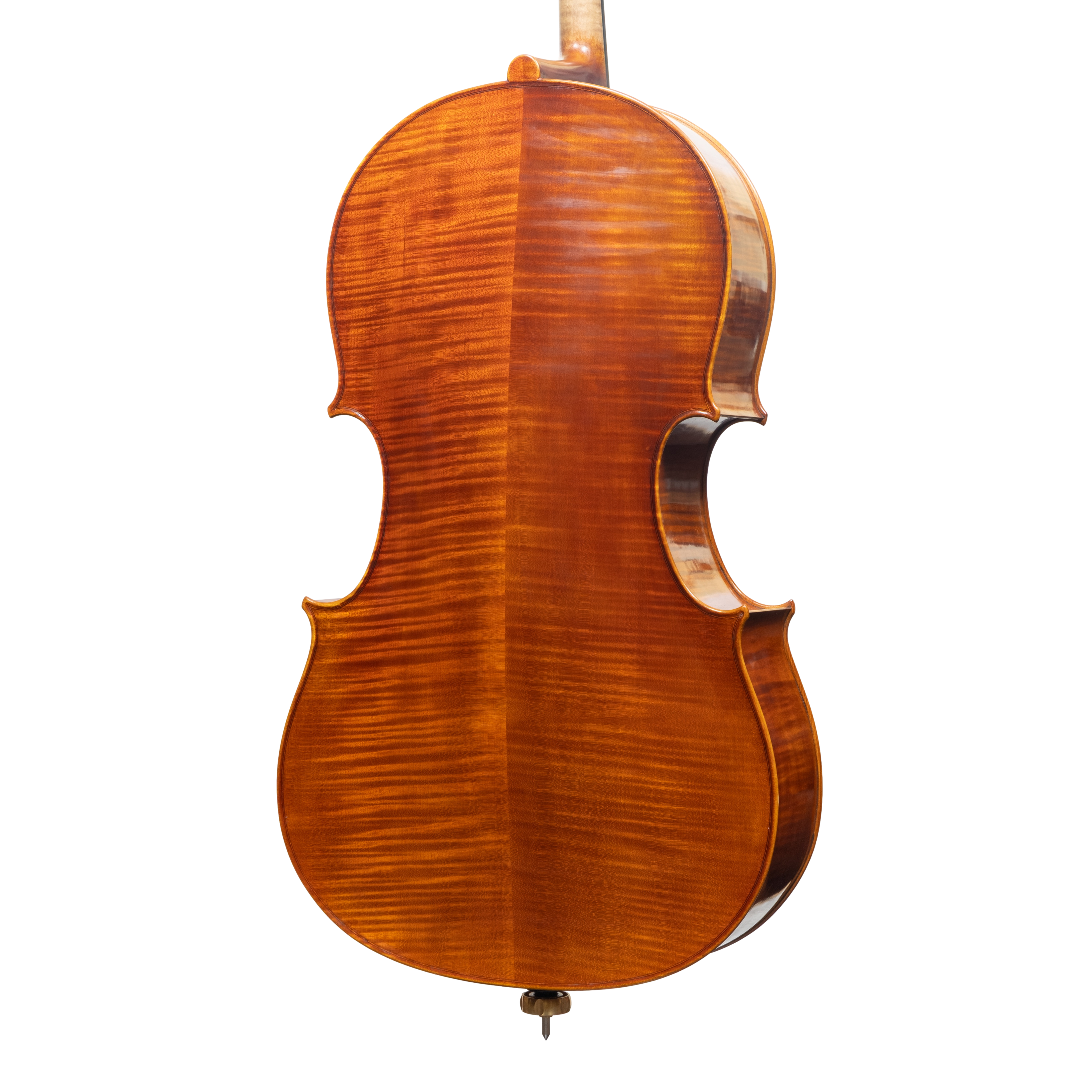 Cello - Linea Macchi, Domenico Montagnana "Sleeping Beauty", Cremona 2025 (1)
