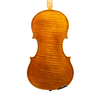 Violin - Linea Macchi, Guarneri "Cannone" 2026 Adige