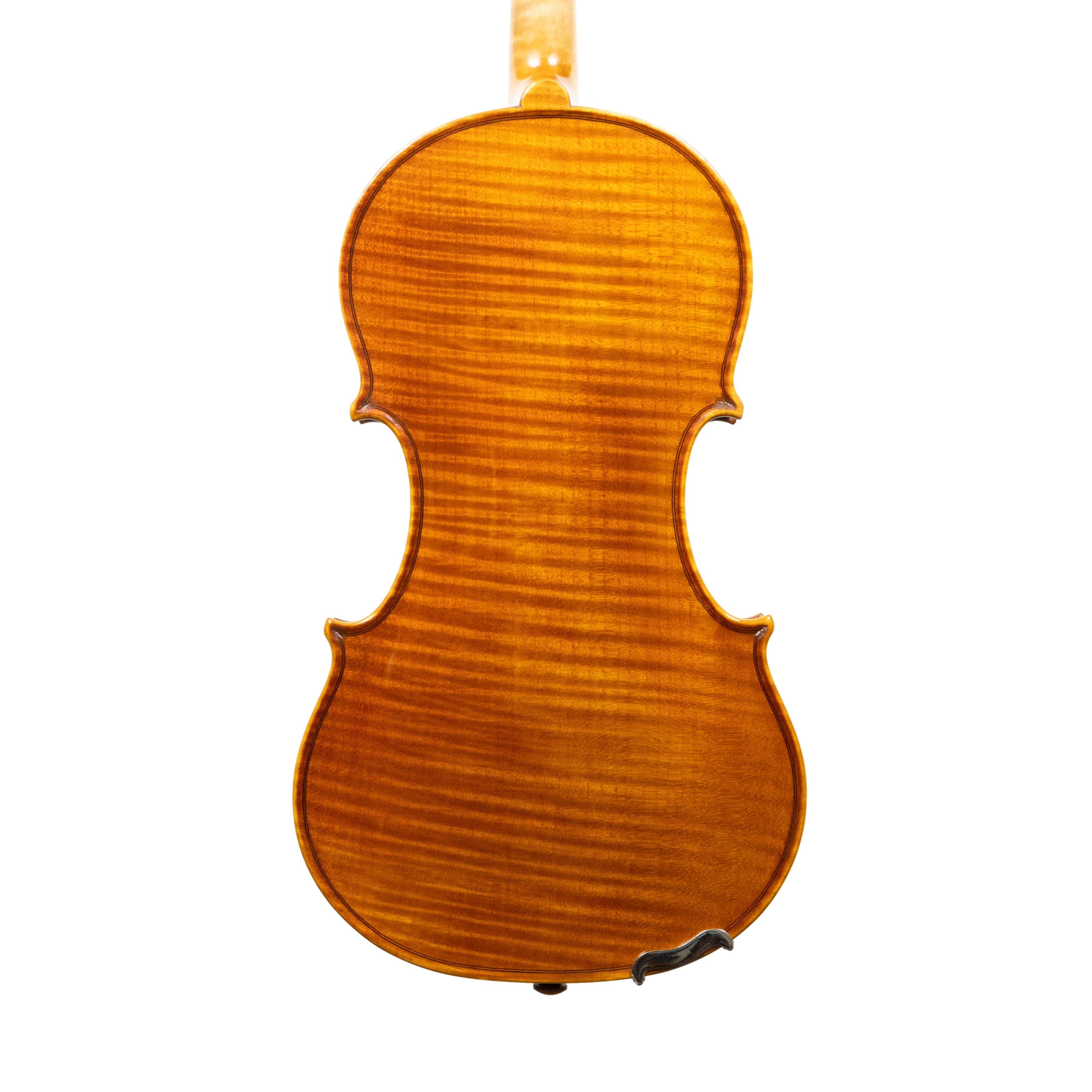 Violin - Linea Macchi, Guarneri "Cannone" 2026 Adige