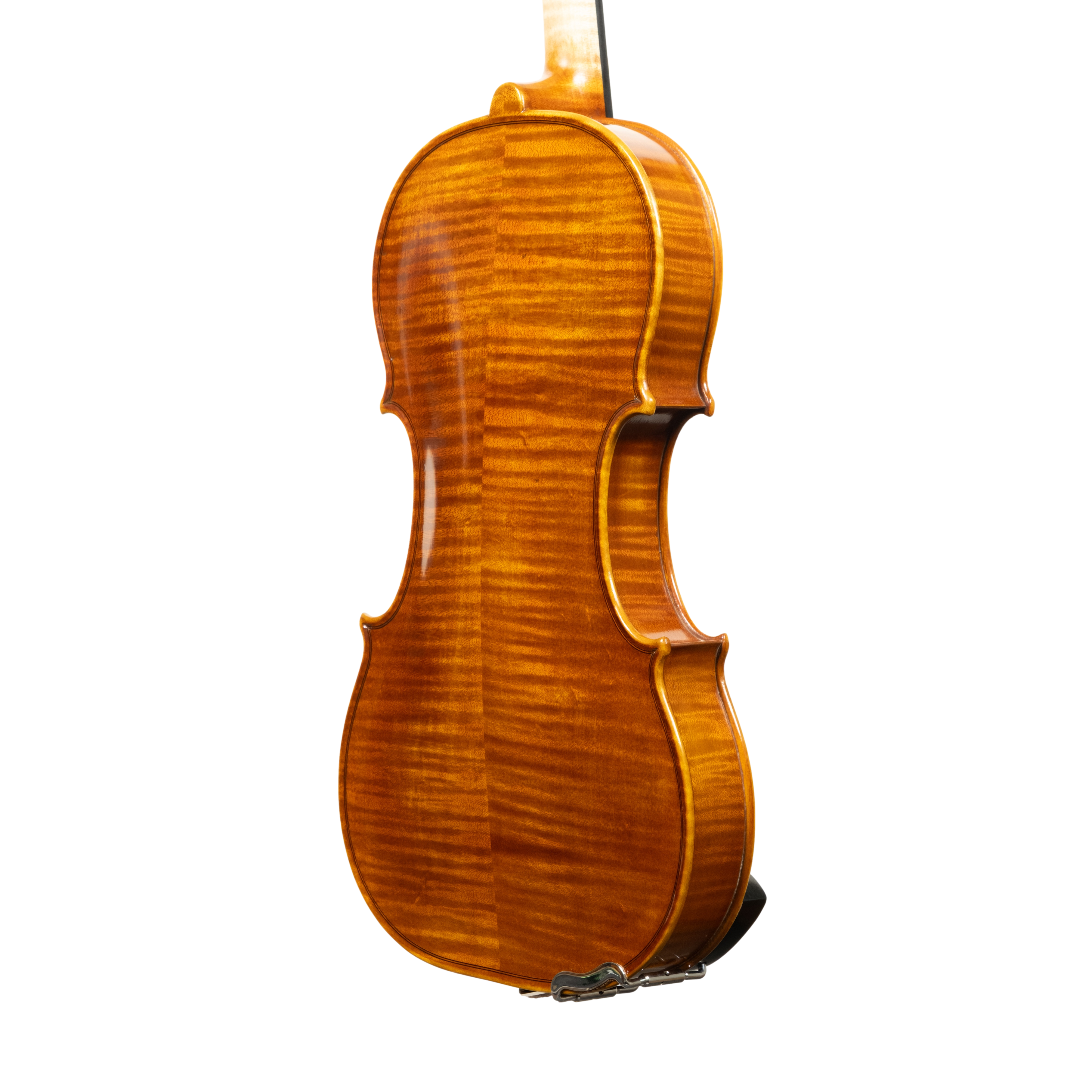 Violin - Linea Macchi, Guarneri "Lord Wilton" 2026 Avisio