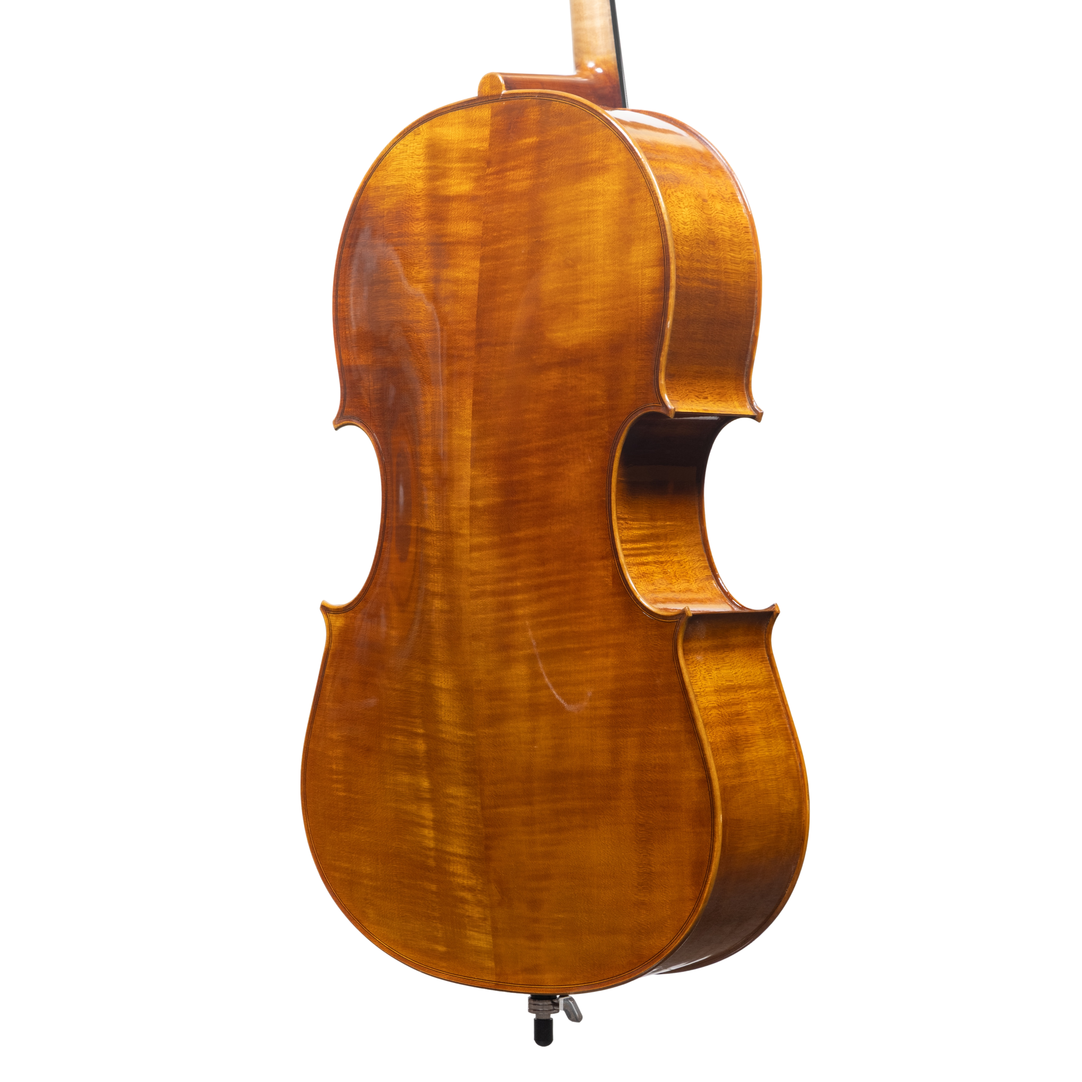 Cello - Scala Perfetta, Montagnana, Cremona 2025 "CERVATI"