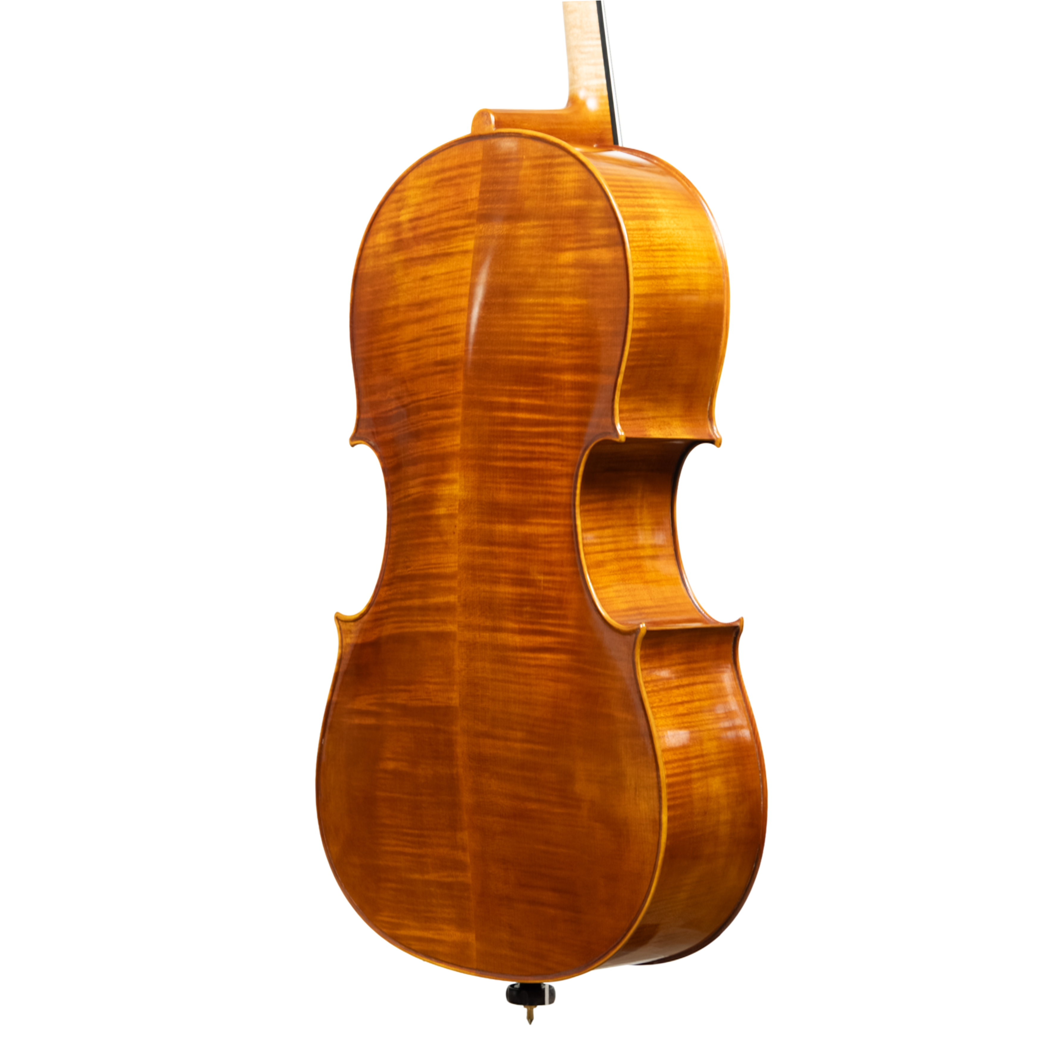 Cello - Linea Macchi, Domenico Montagnana "Sleeping Beauty", Cremona 2026
