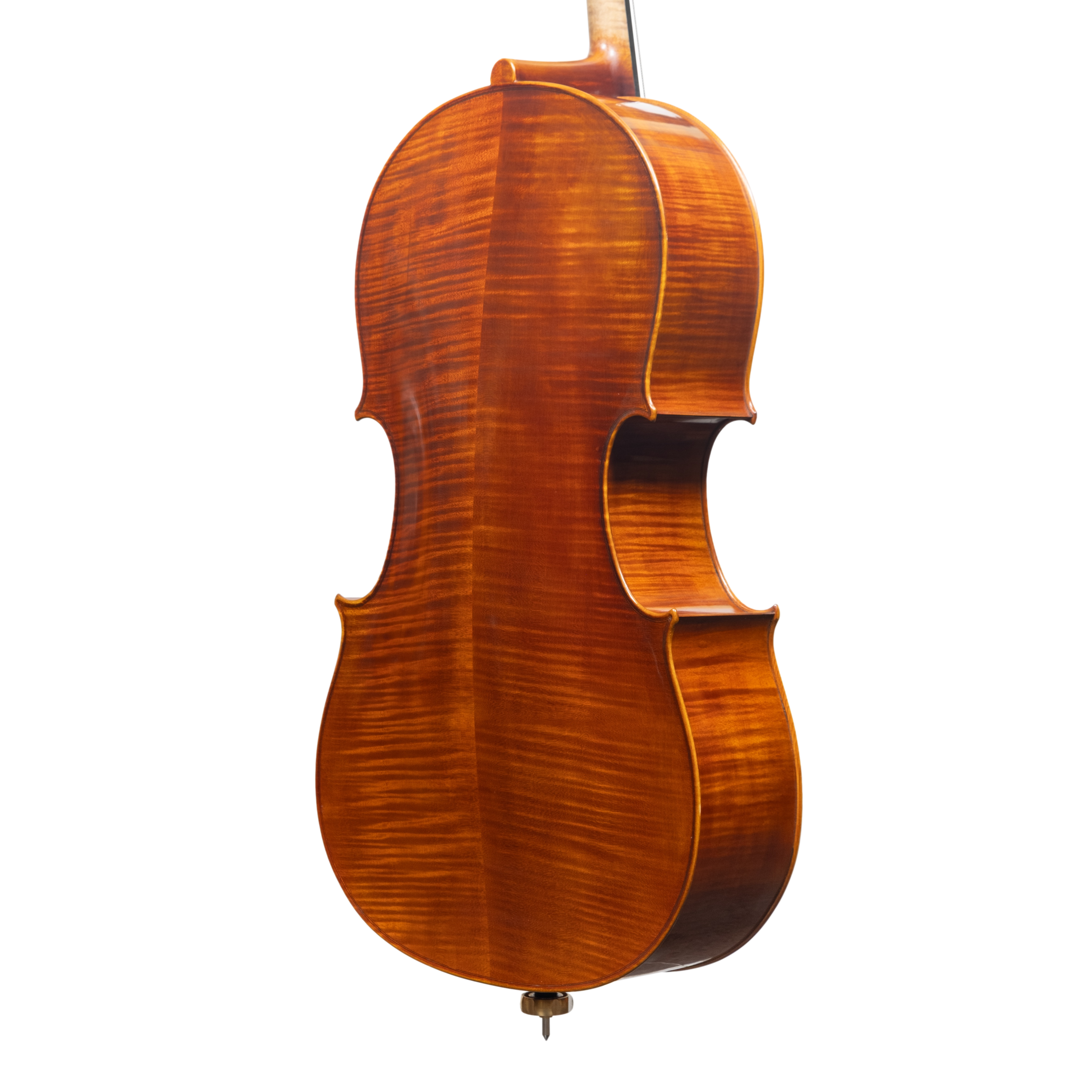 Cello - Linea Macchi, Domenico Montagnana "Sleeping Beauty", Cremona 2025 (1)
