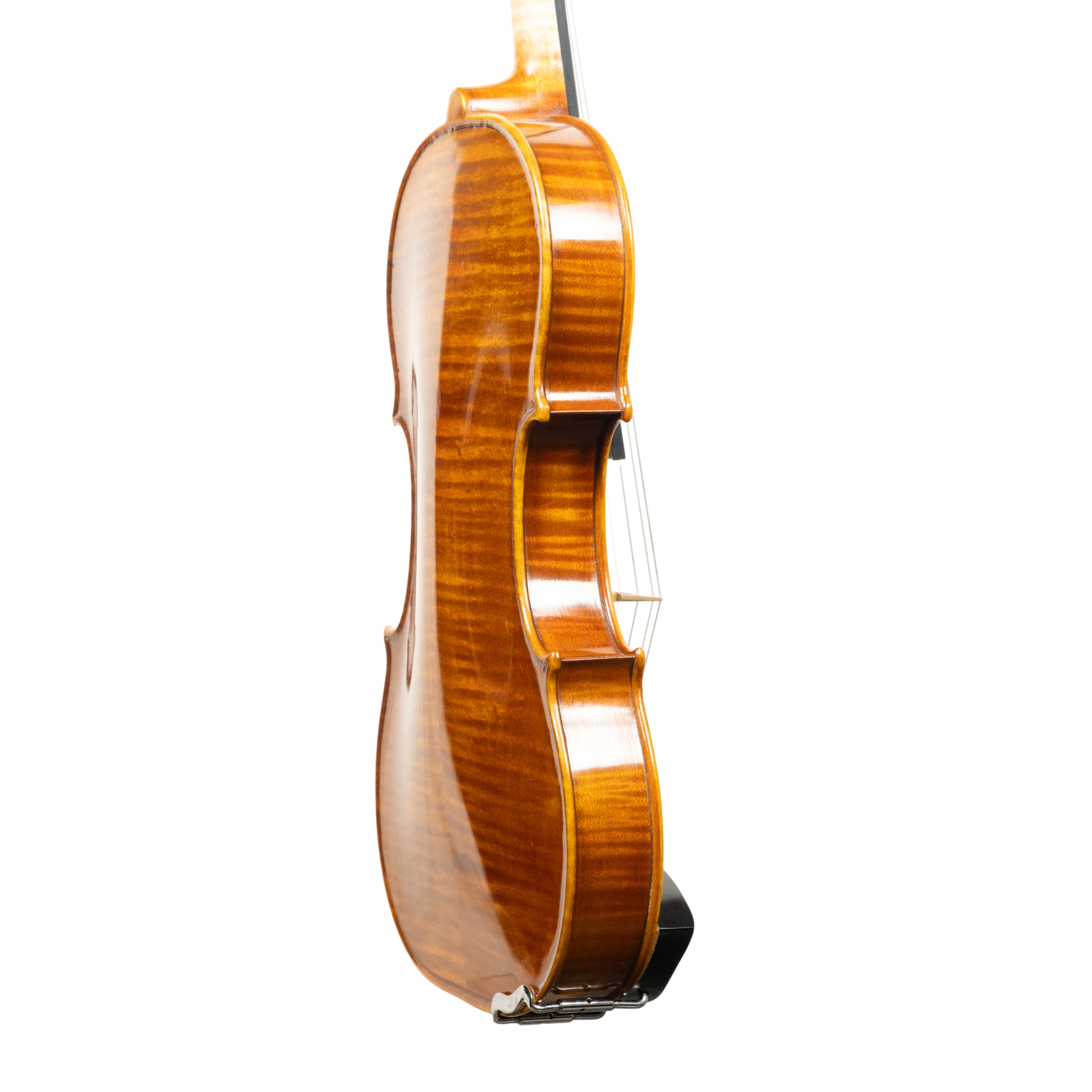 Violin - Linea Macchi, Guarneri "Lord Wilton" 2026 Avisio