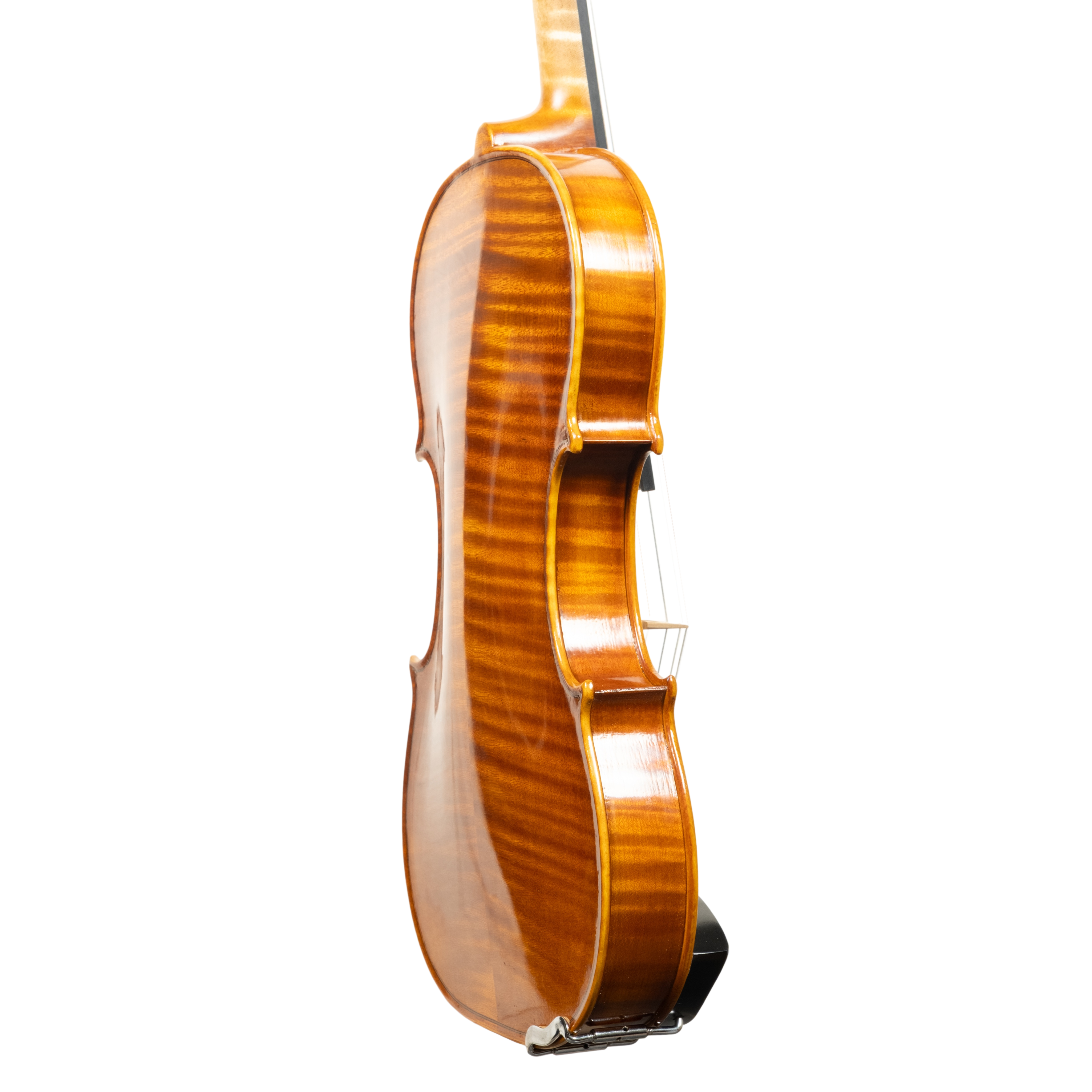 Violin - Linea Macchi, Guarneri "Lord Wilton" 2026 Fersina