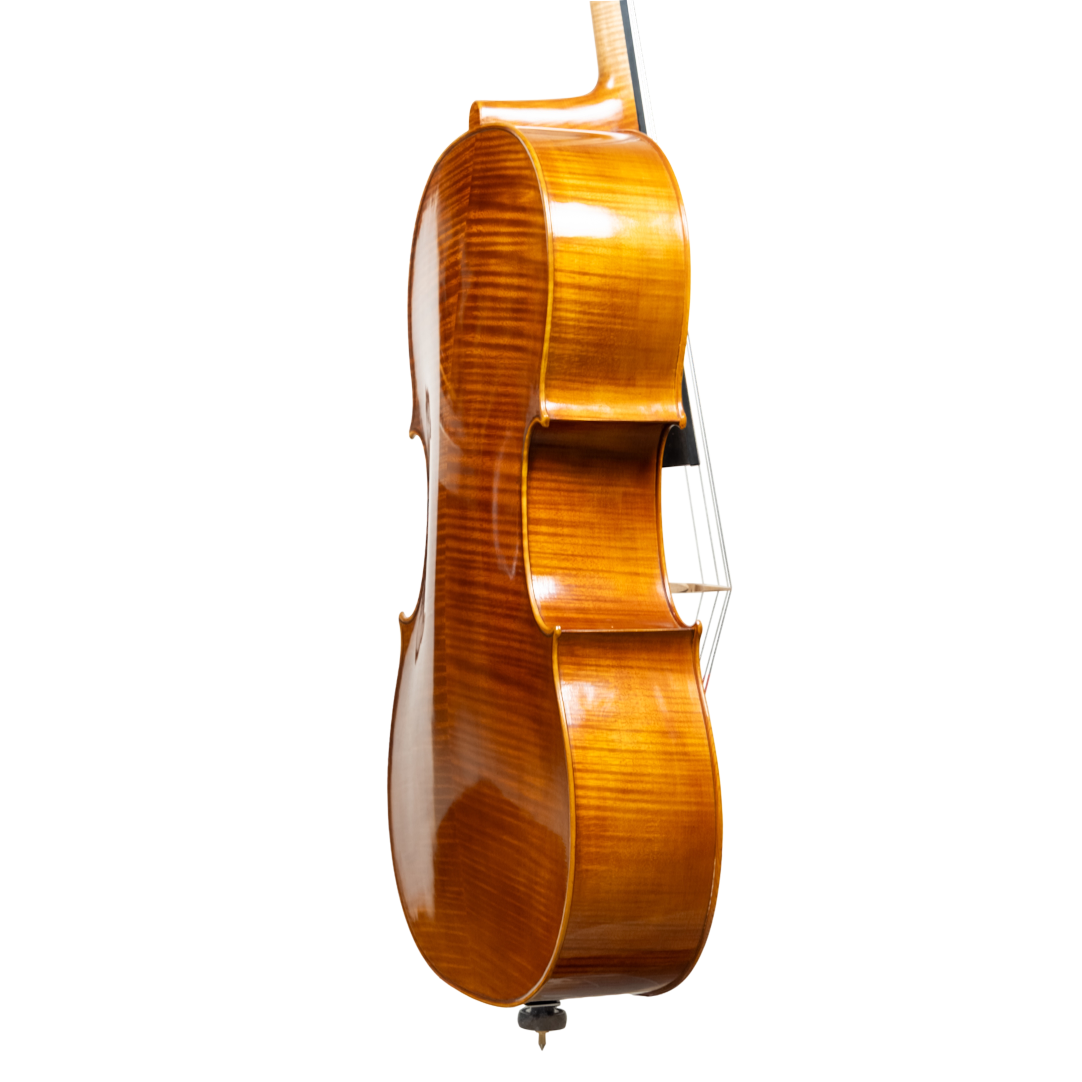 Cello - Linea Macchi, Stradivari "Gore Booth", Cremona 2026