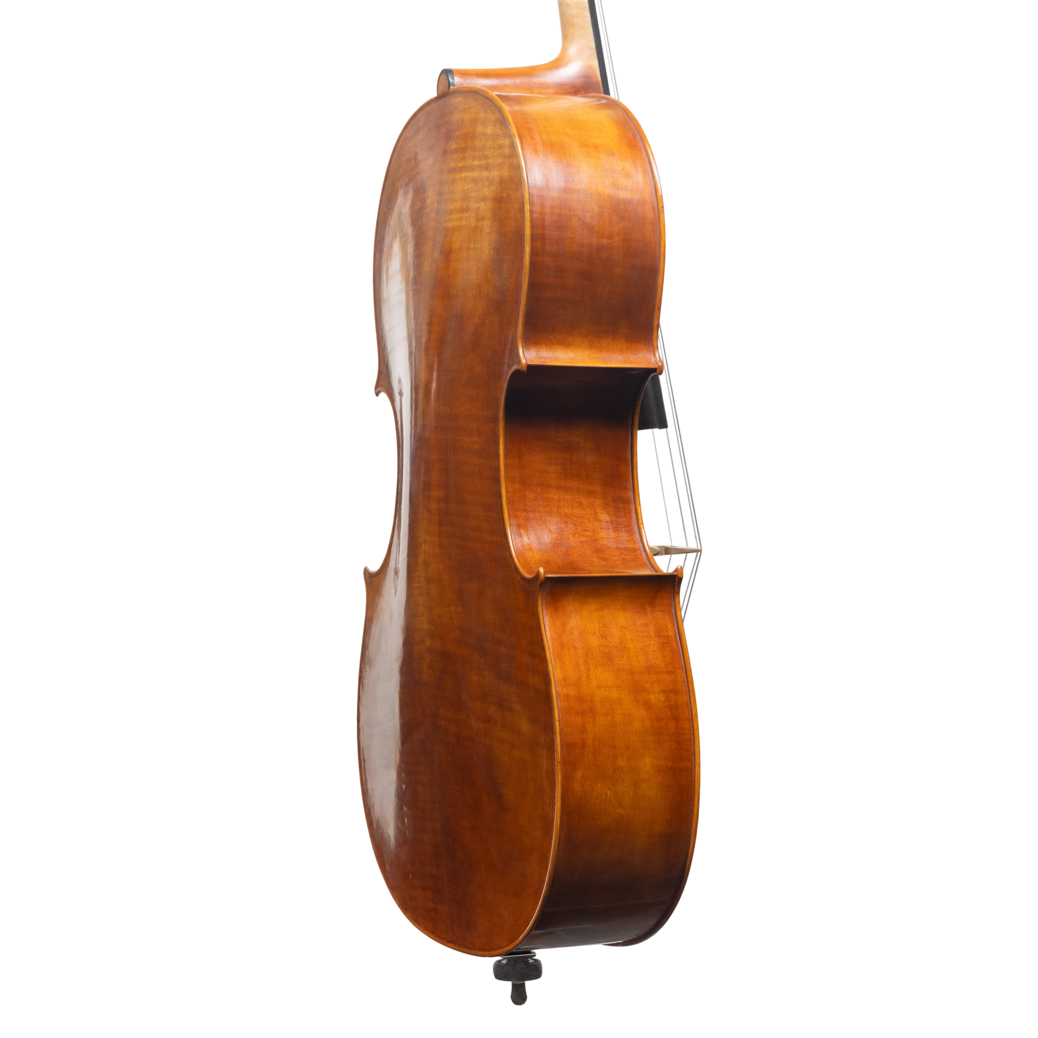 Cello - Mina Mazzolari, Matteo Goffriler, Cremona 2025