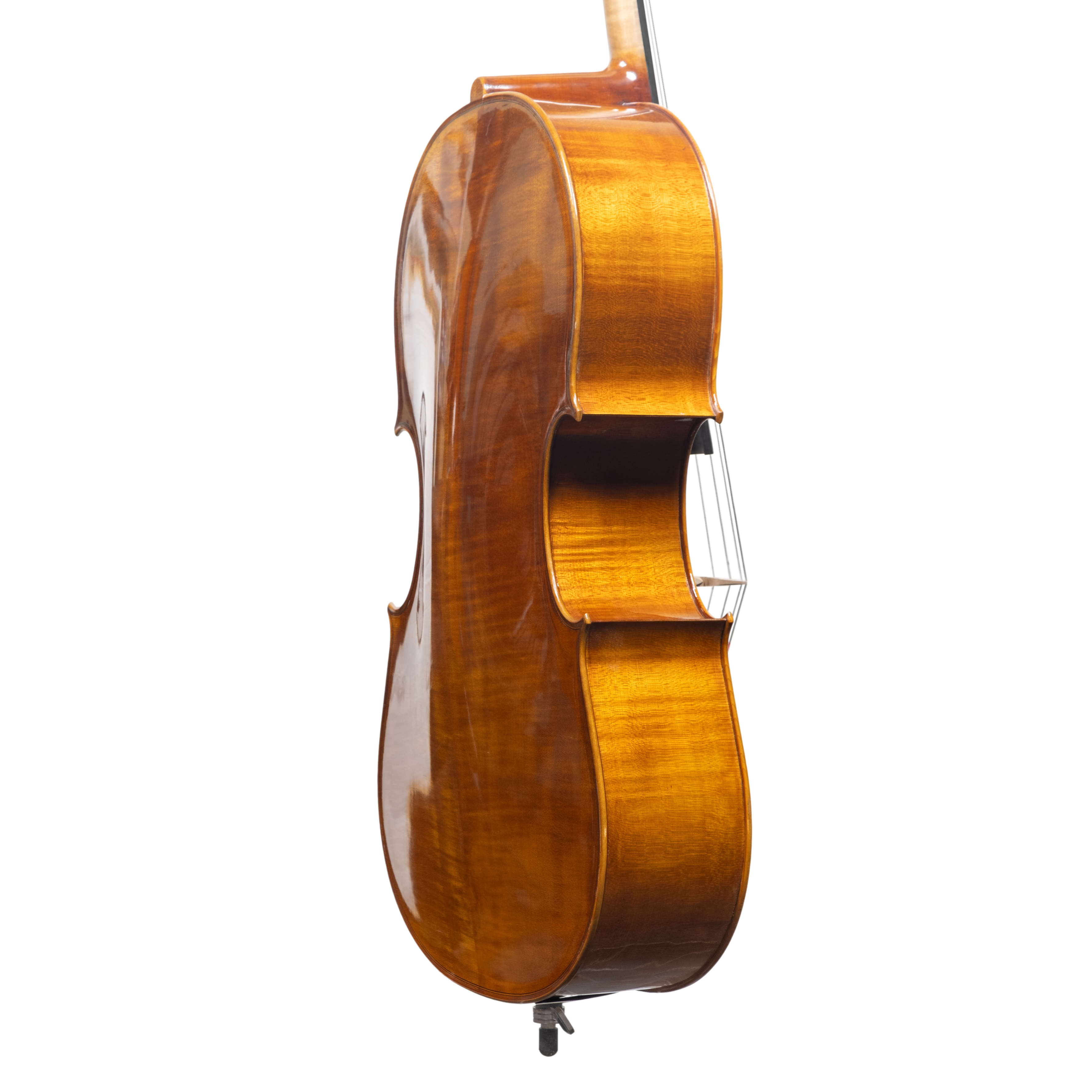 Cello - Scala Perfetta, Montagnana, Cremona 2025 "CERVATI"