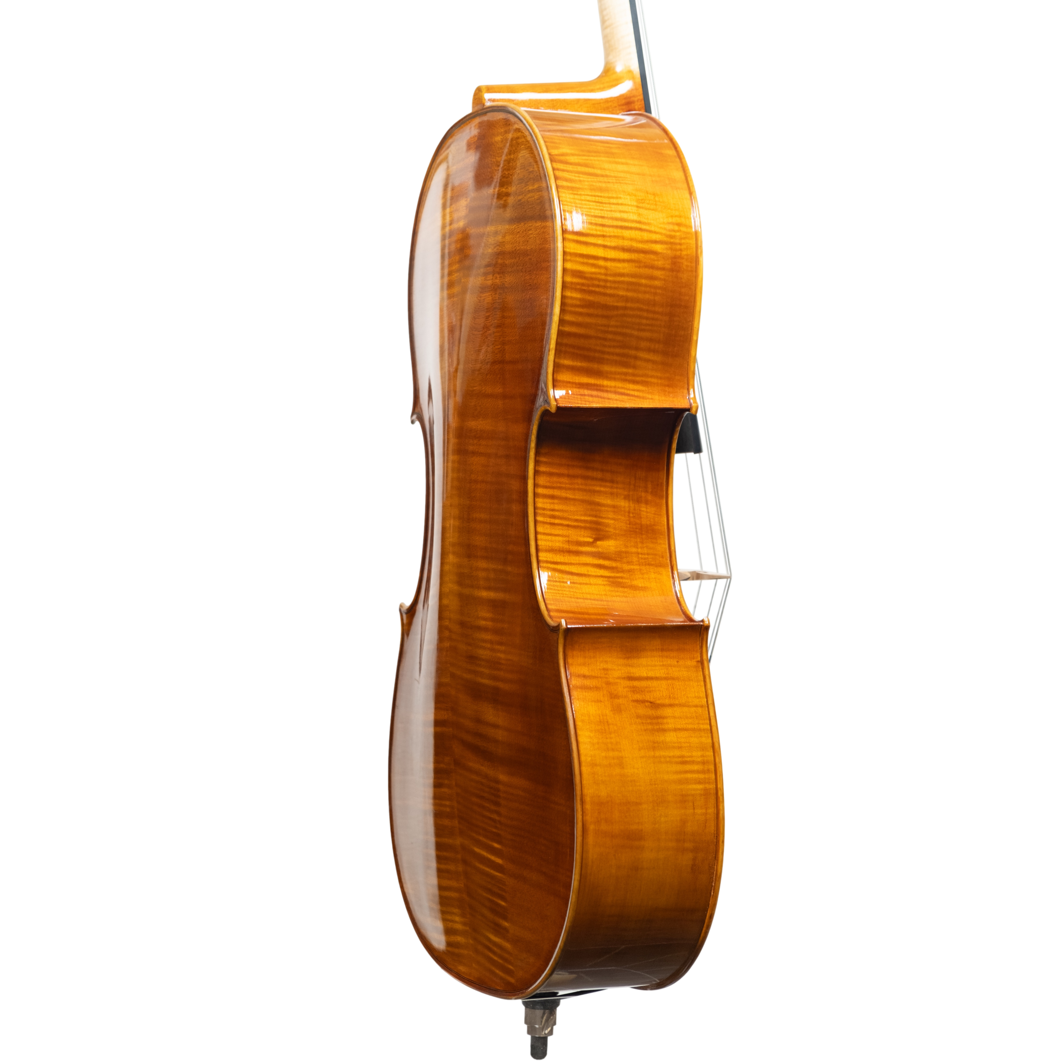 Cello - Scala Perfetta, Stradivari, Cremona 2025 "CEVEDALE"