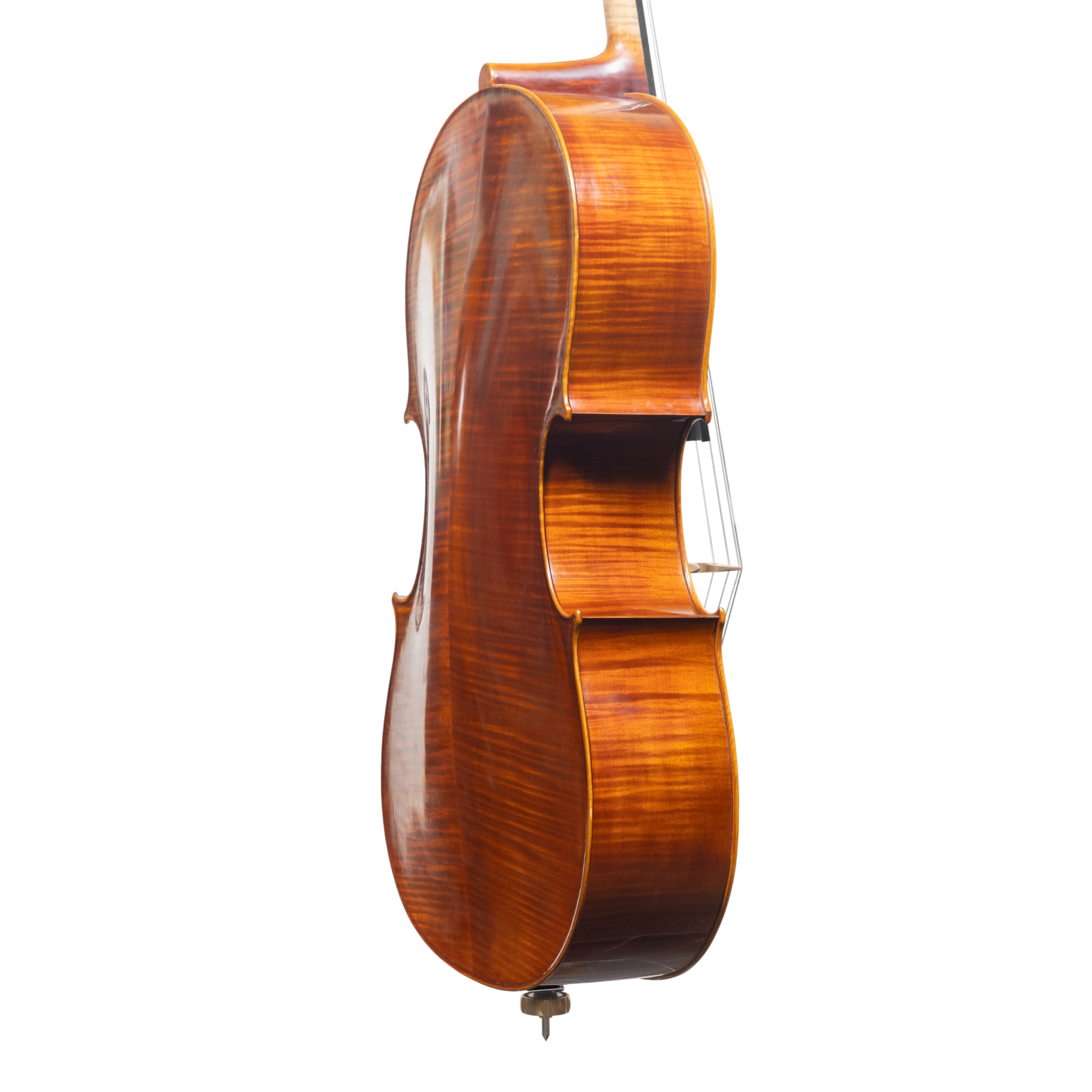 Cello - Linea Macchi, Domenico Montagnana "Sleeping Beauty", Cremona 2025 (1)