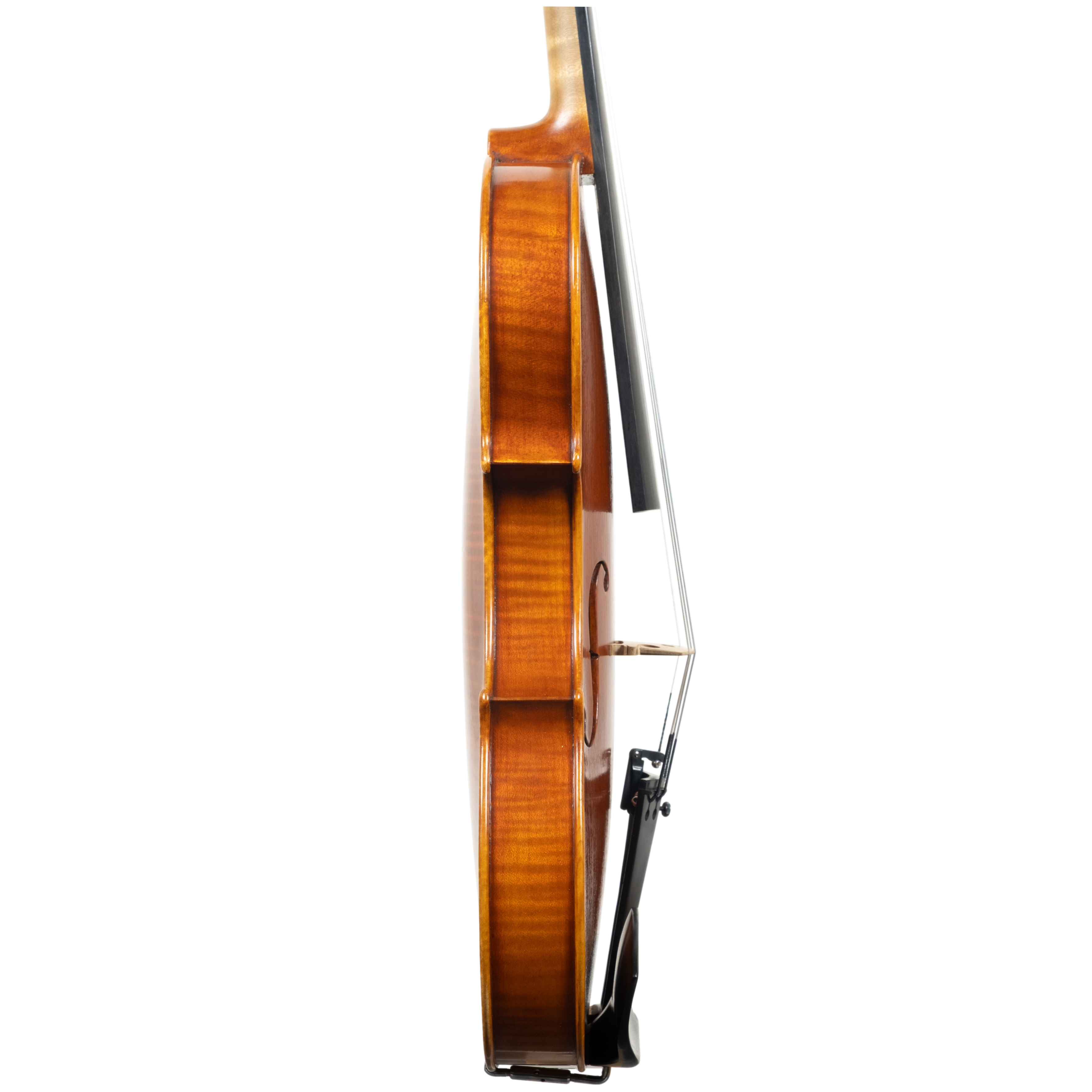 Violin - Arianna Endo, Stradivari "Il Cremonese", Cremona 2026