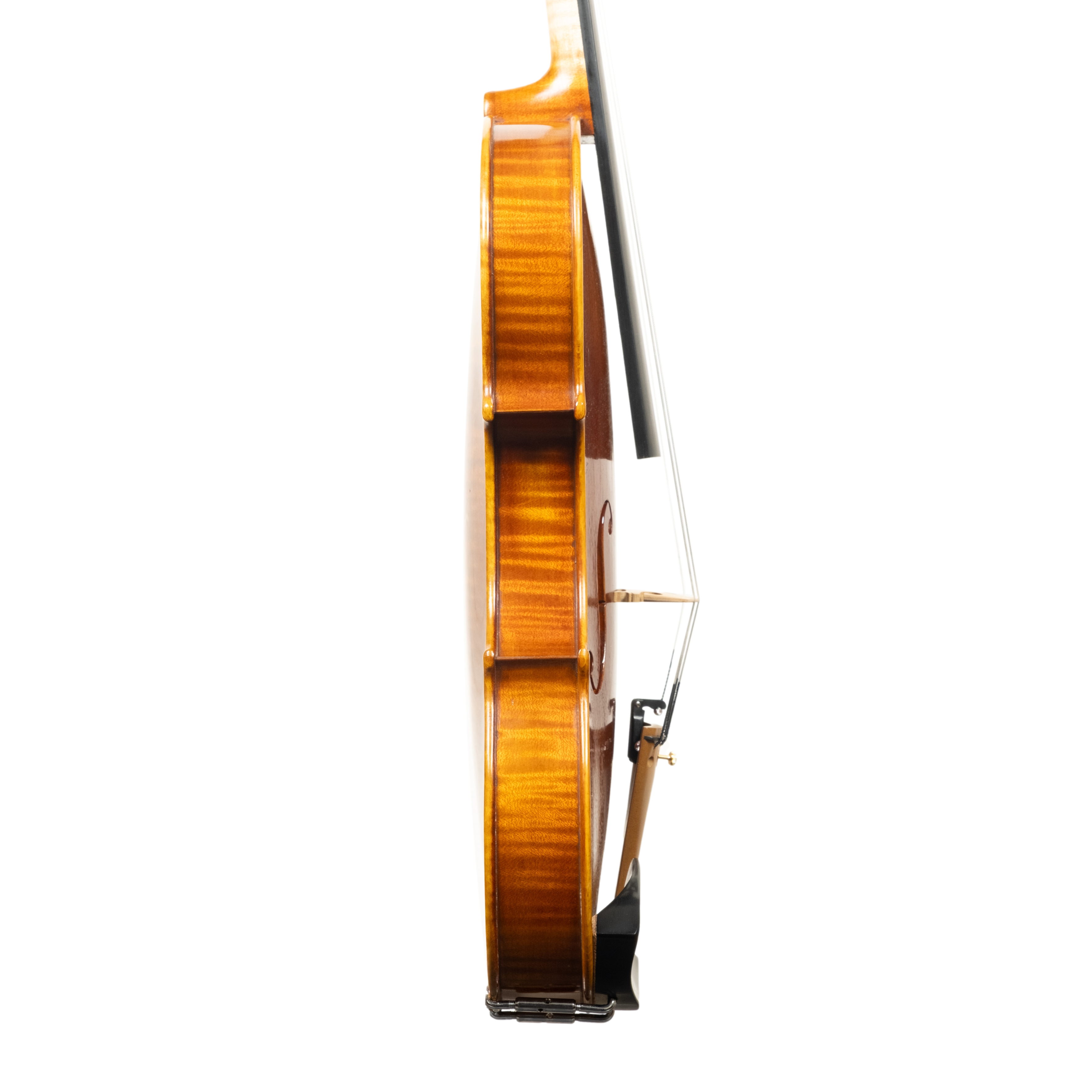 Violin - Linea Macchi, Guarneri "Lord Wilton" 2026 Avisio