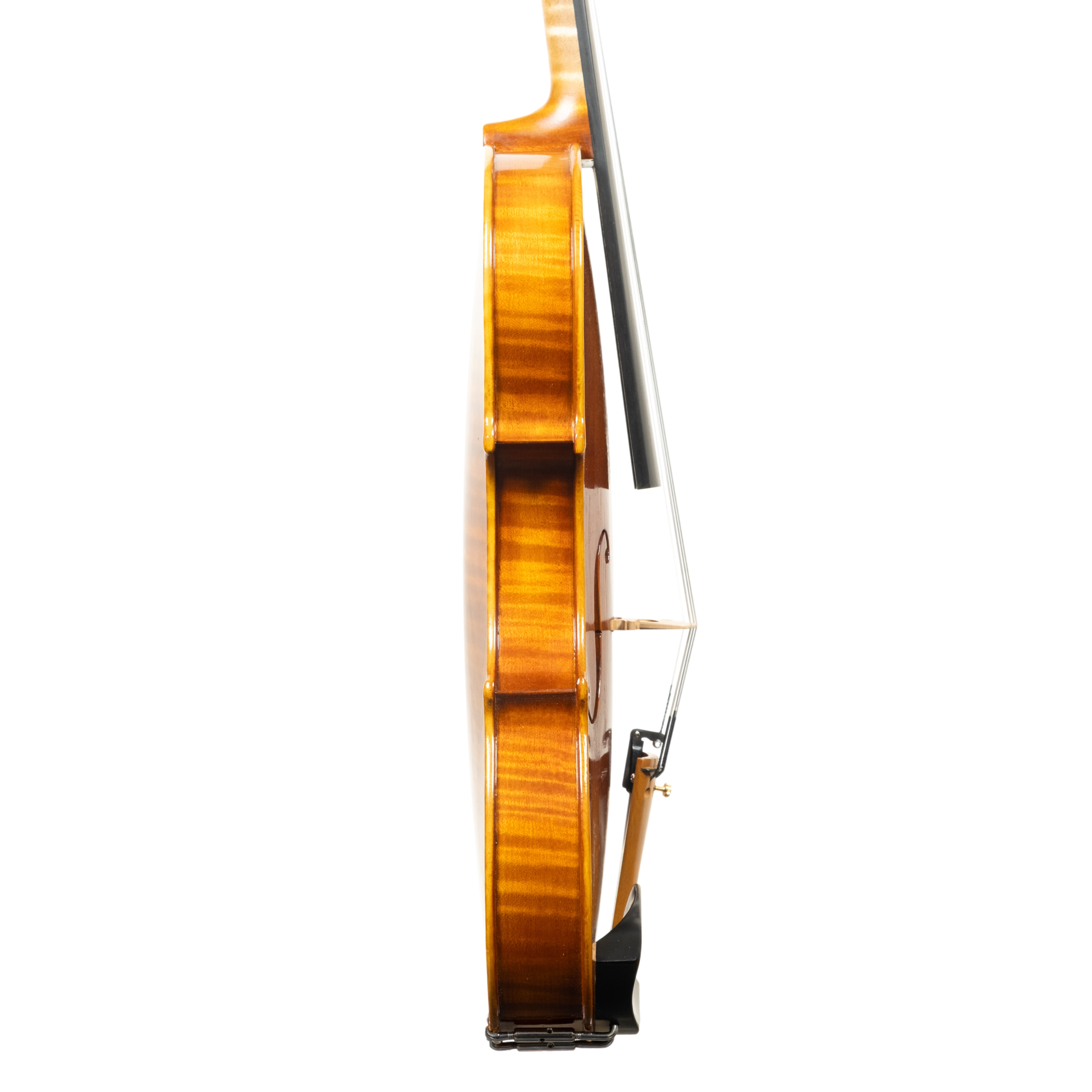 Violin - Linea Macchi, Guarneri "Lord Wilton" 2026 Fersina