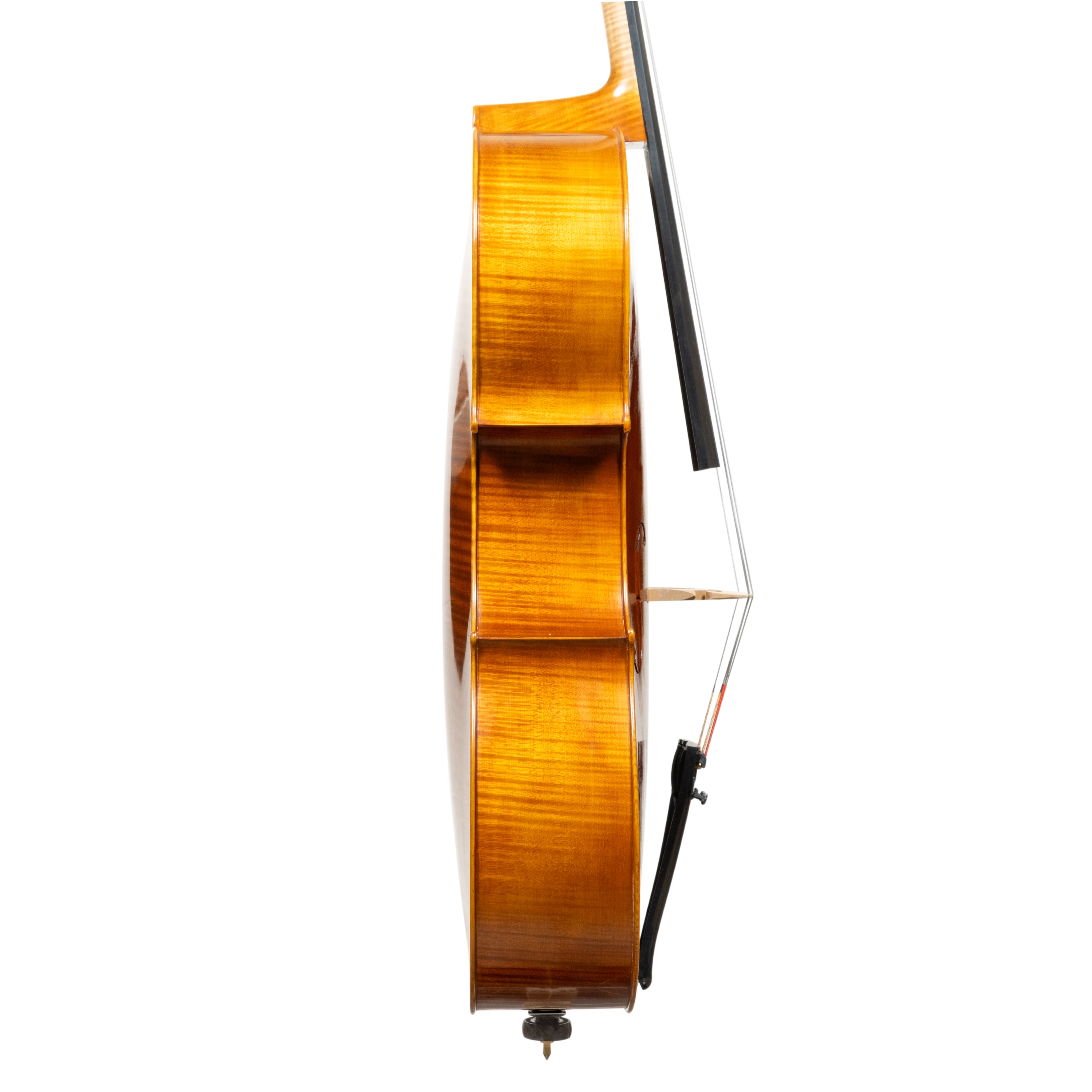 Cello - Linea Macchi, Stradivari "Gore Booth", Cremona 2026