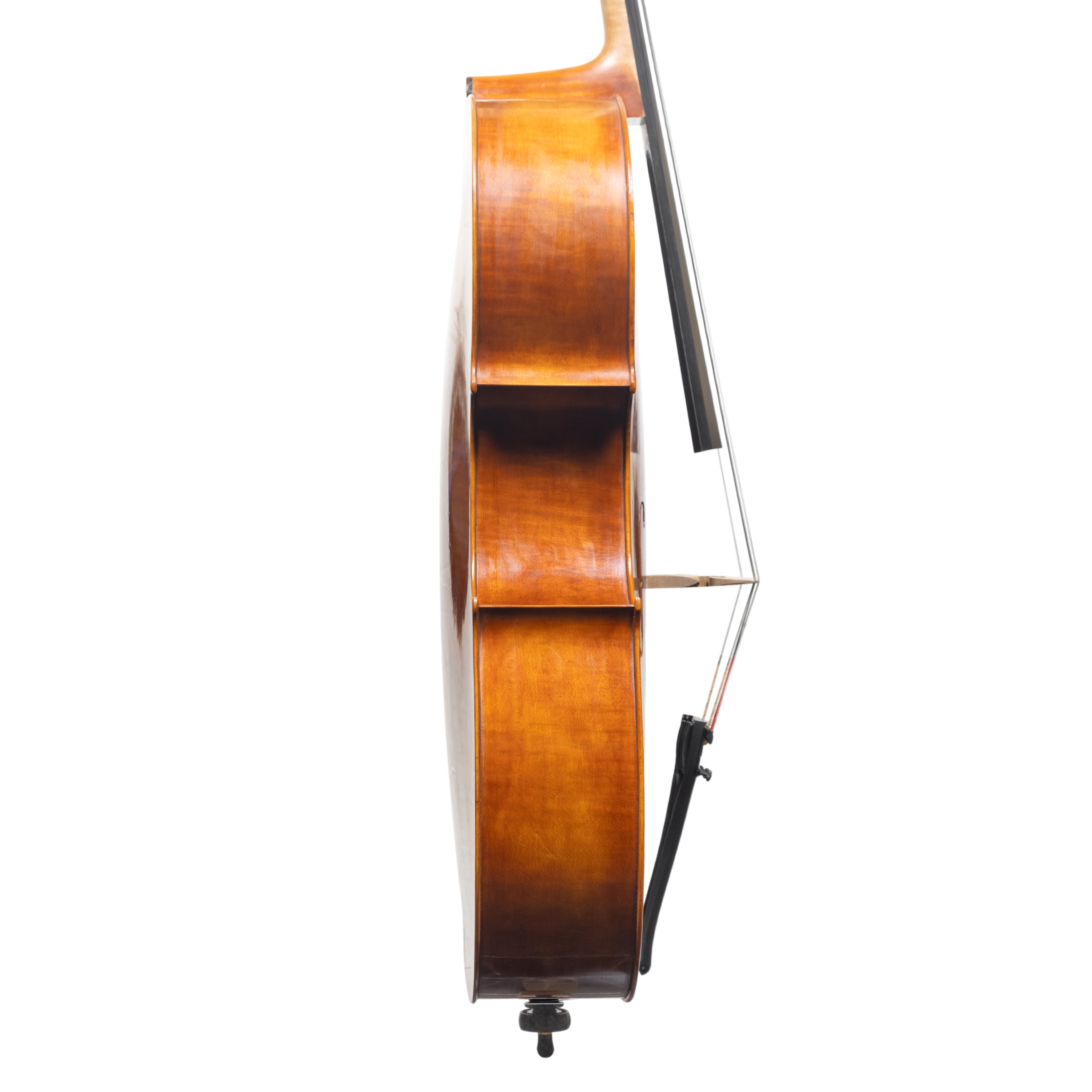 Cello - Mina Mazzolari, Matteo Goffriler, Cremona 2025