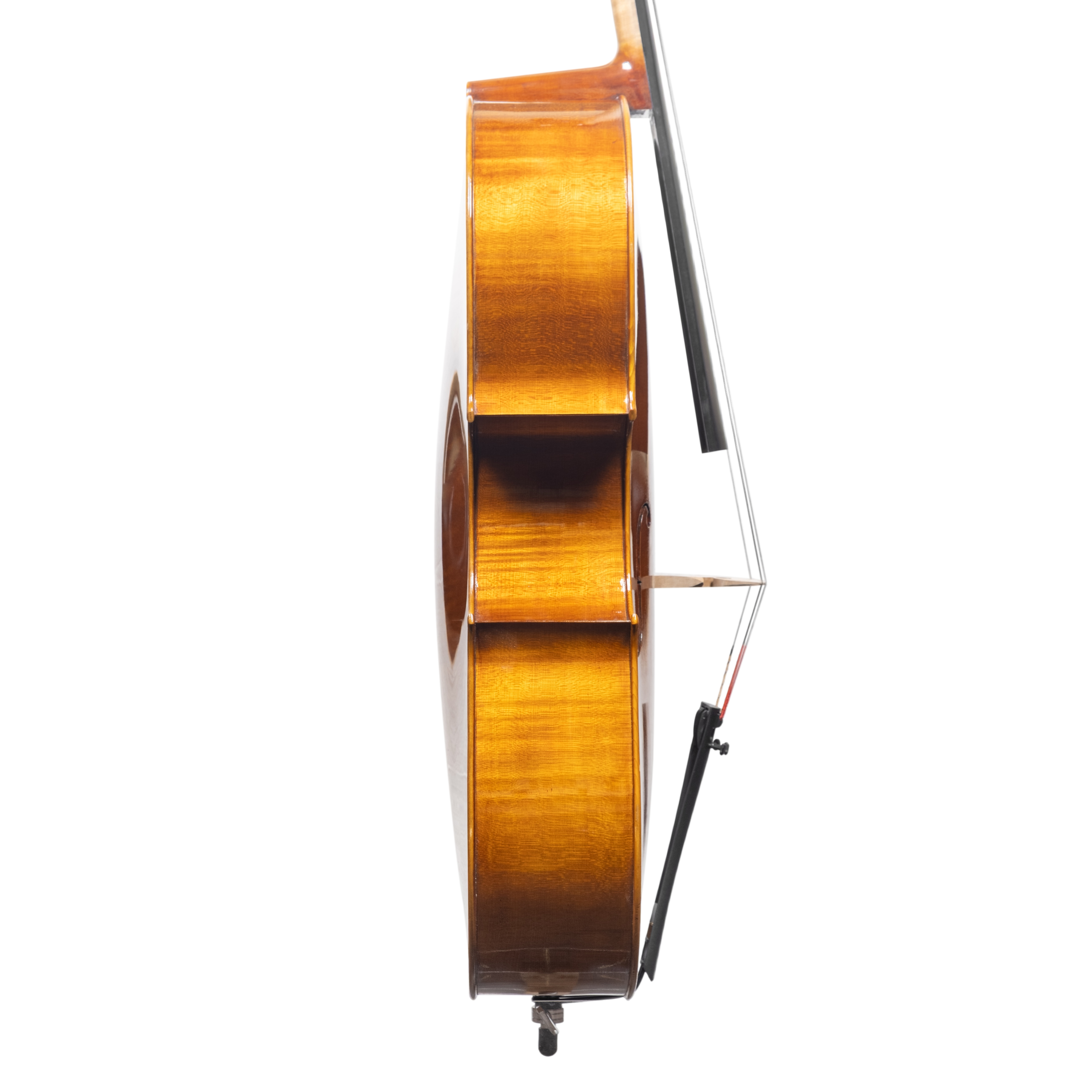 Cello - Scala Perfetta, Montagnana, Cremona 2025 "CERVATI"